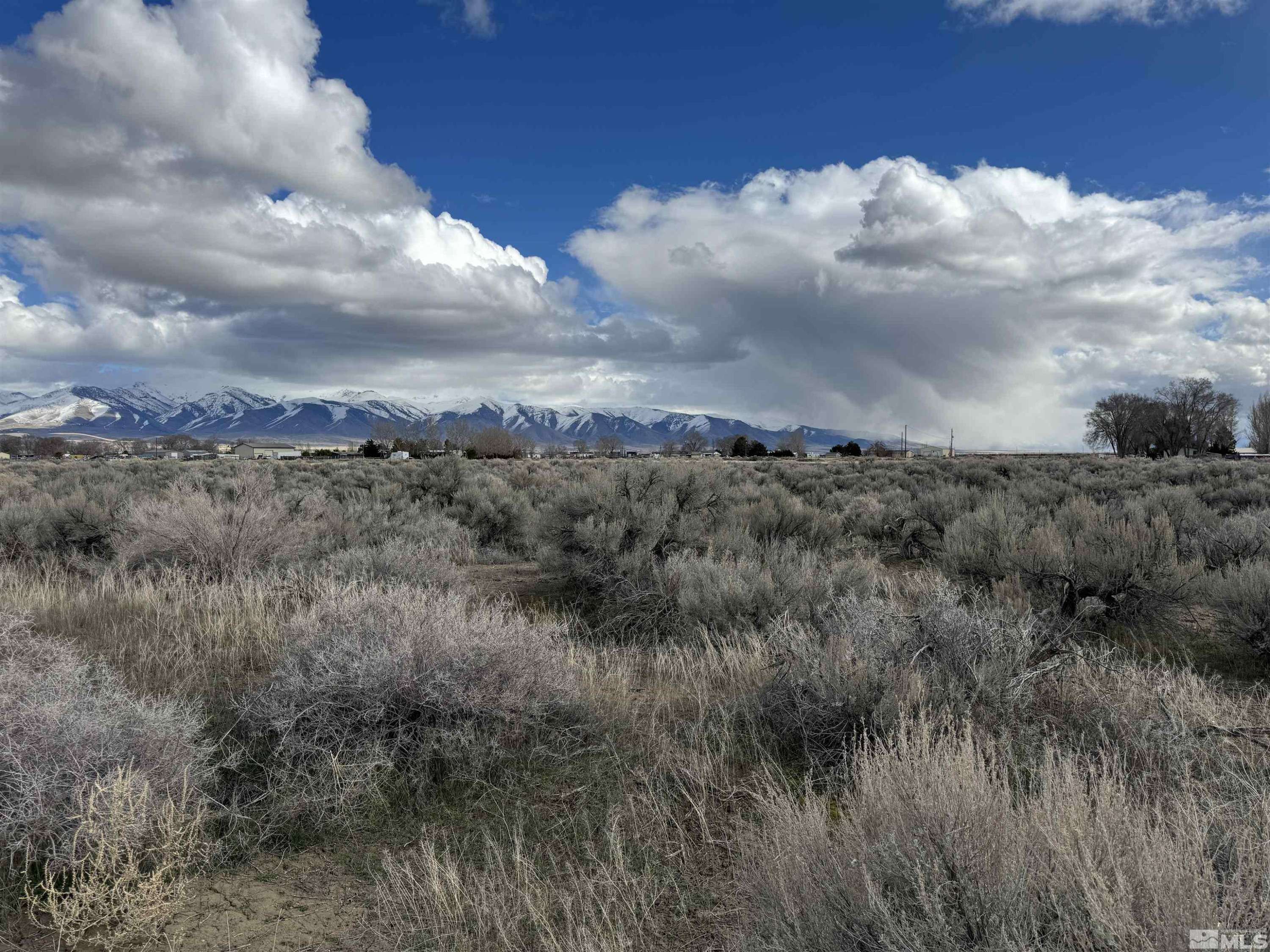 Winnemucca, NV 89445,13023223 Market
