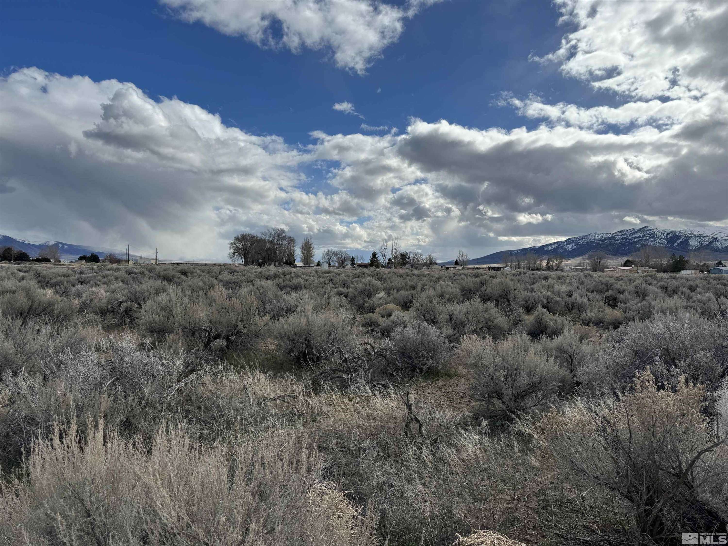 Winnemucca, NV 89445,13023223 Market