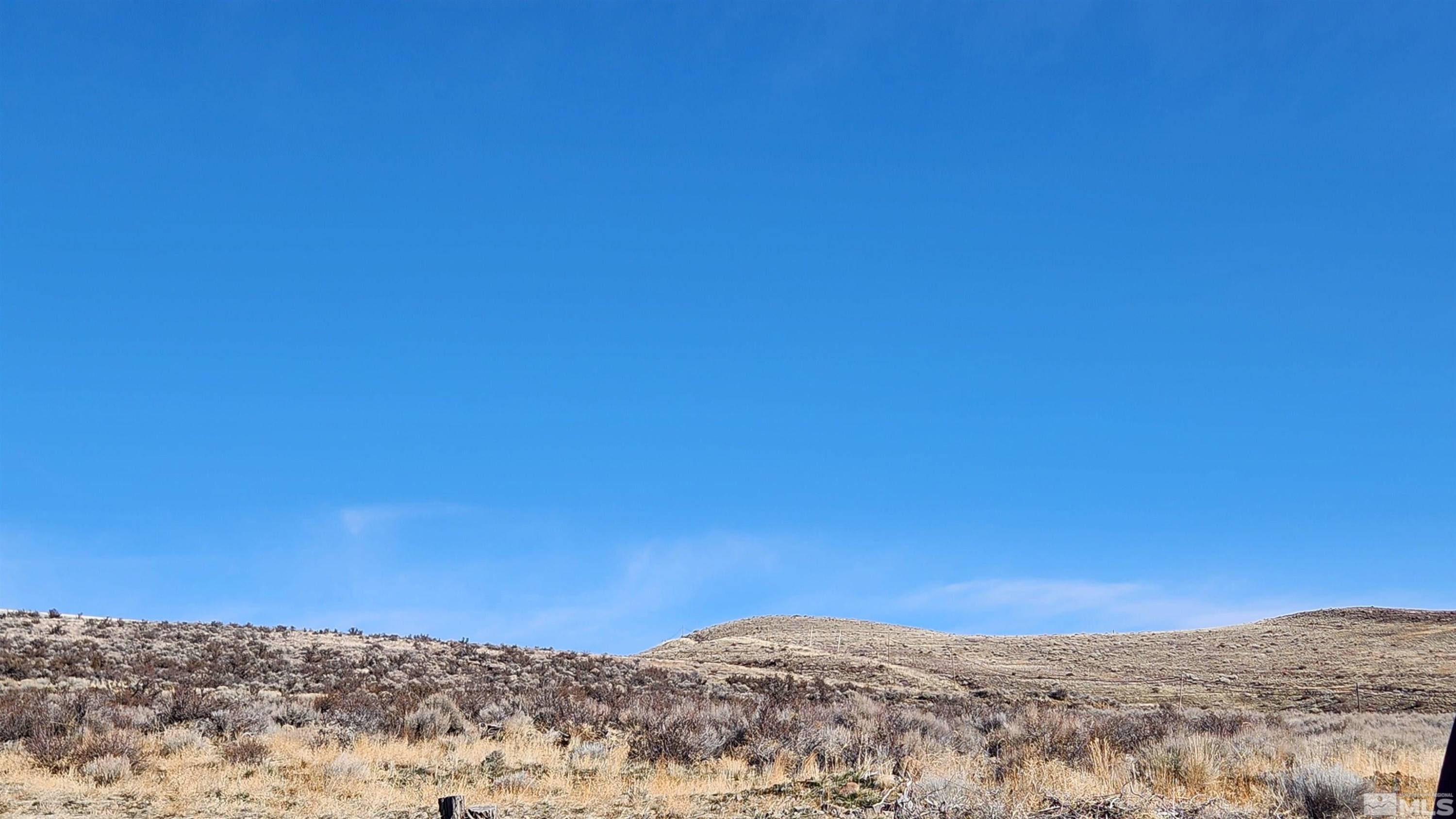 Washoe Valley, NV 89704,04608053 S US Highway 395