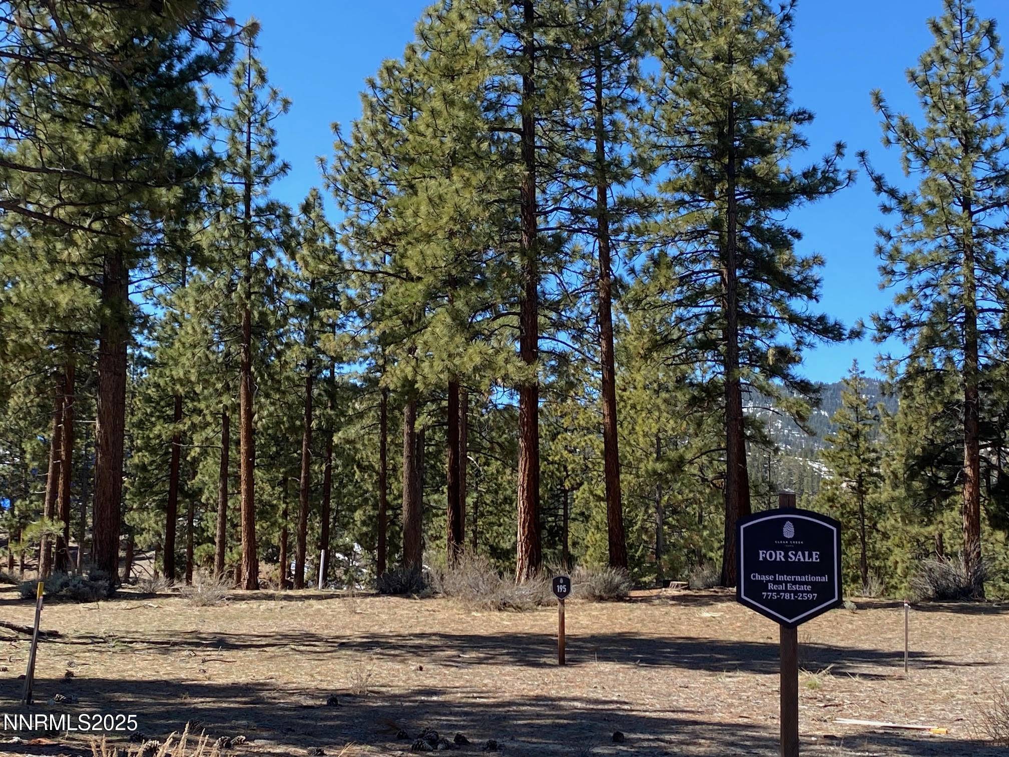 Carson City, NV 89705,185 Dall CT Court
