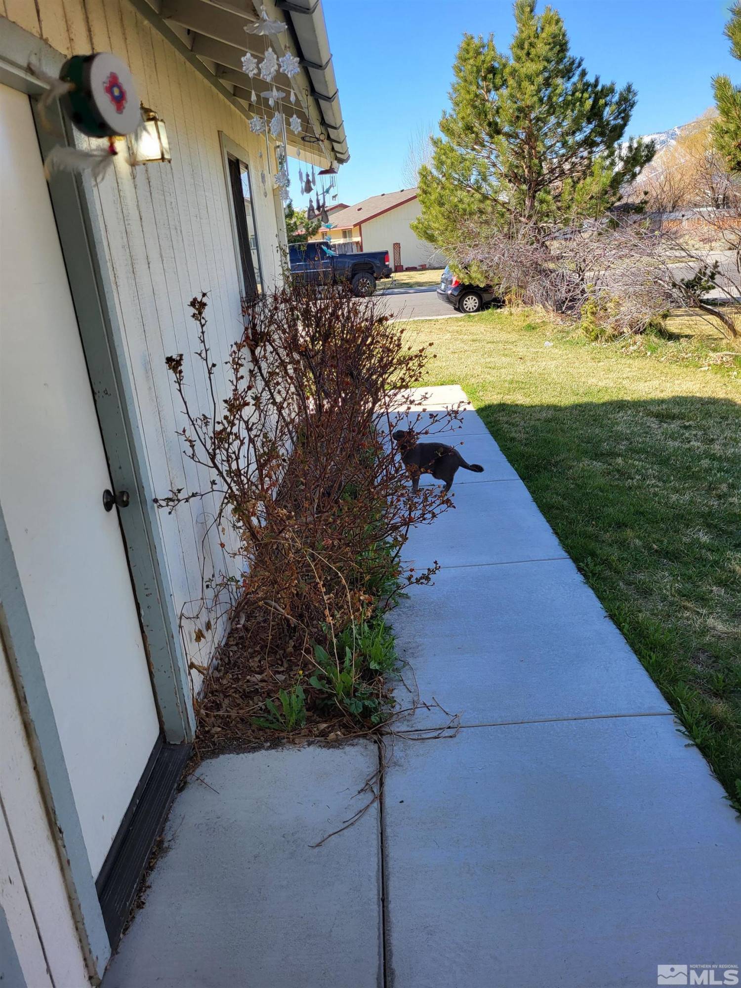 Gardnerville, NV 89460,804 Wagon DR