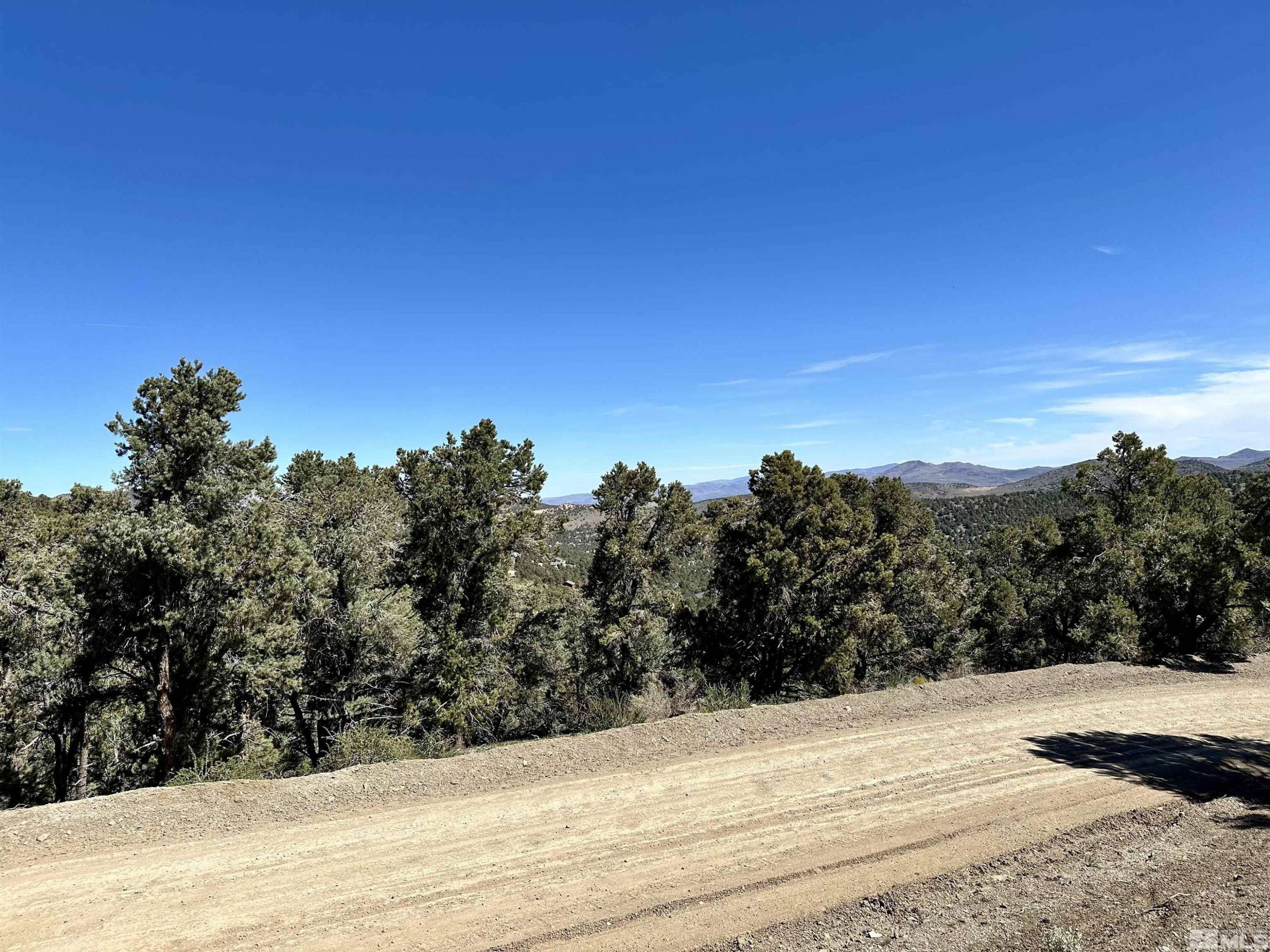 Virginia City, NV 89429,1551 Bonanza RD Road