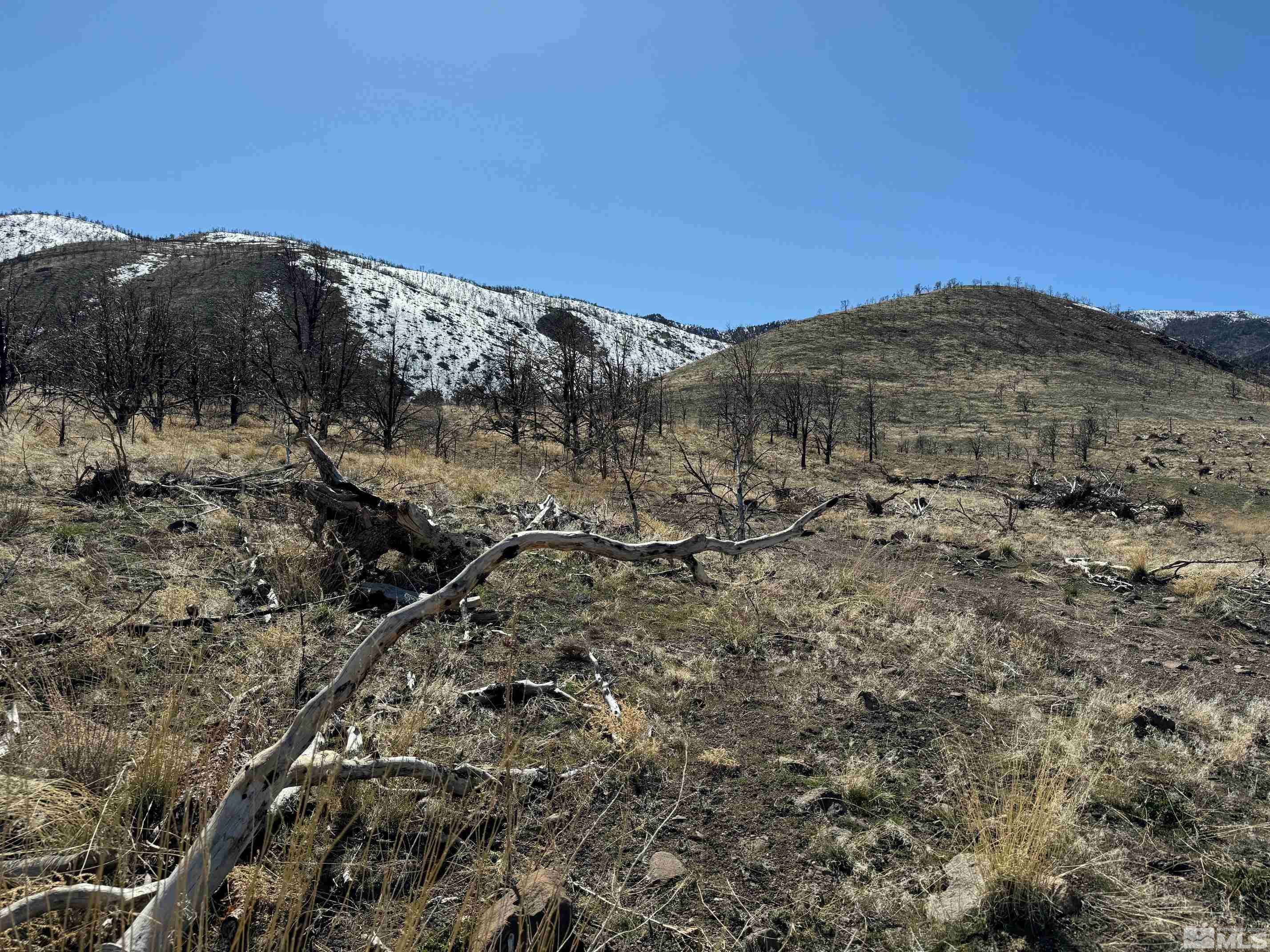 Gardnerville, NV 89410,tbd hwy 395 (128)