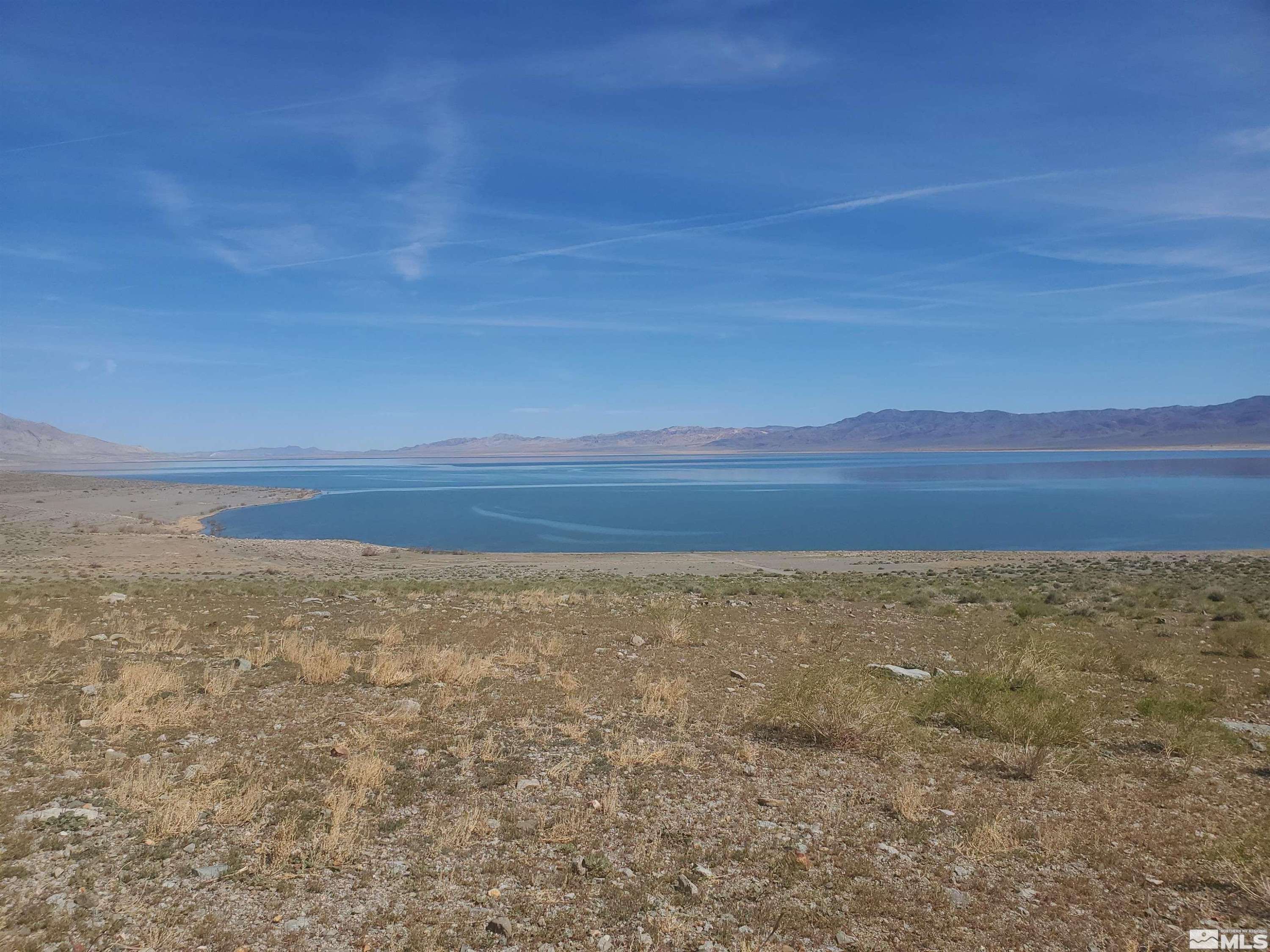 Walker Lake, NV 89415,APN 008-170-06