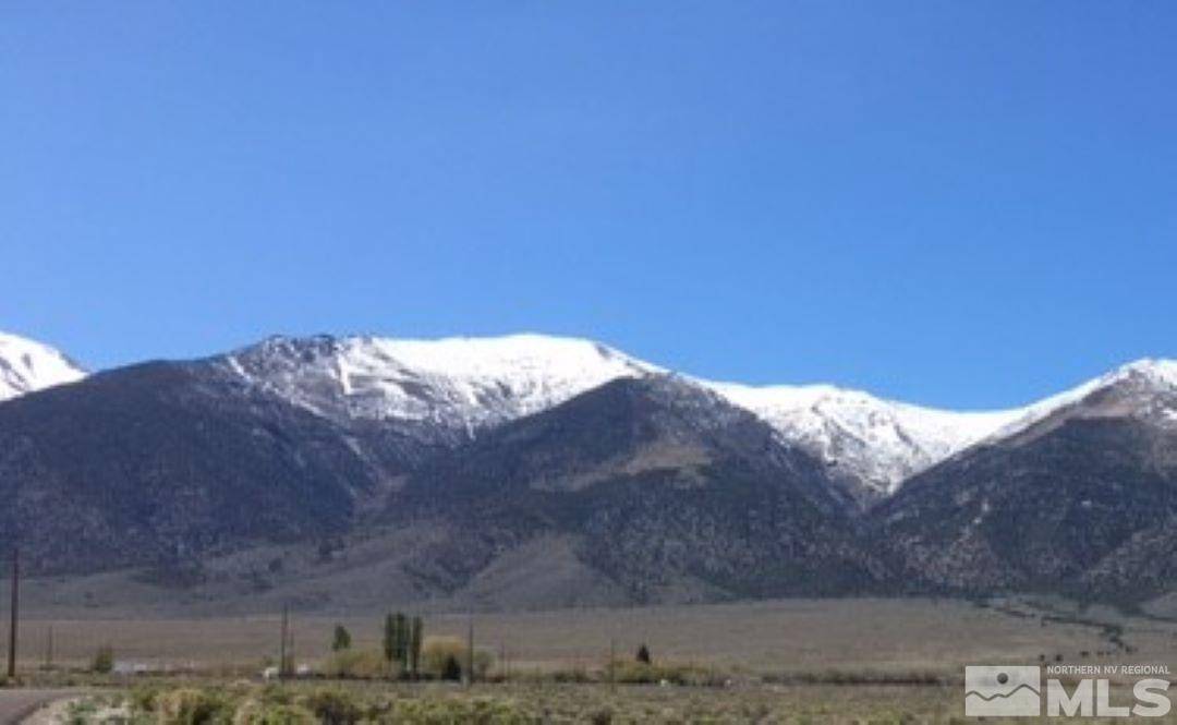 Austin, NV 89310,261 Gillman Springs DR Drive