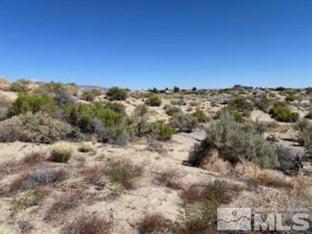 Silver Springs, NV 89429,3810 E Antelope ST Street