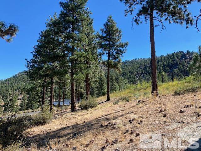 Carson City, NV 89705,307 Senecas CT Court