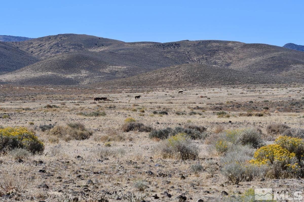 Fernley, NV 89408,06 Hwy 95A