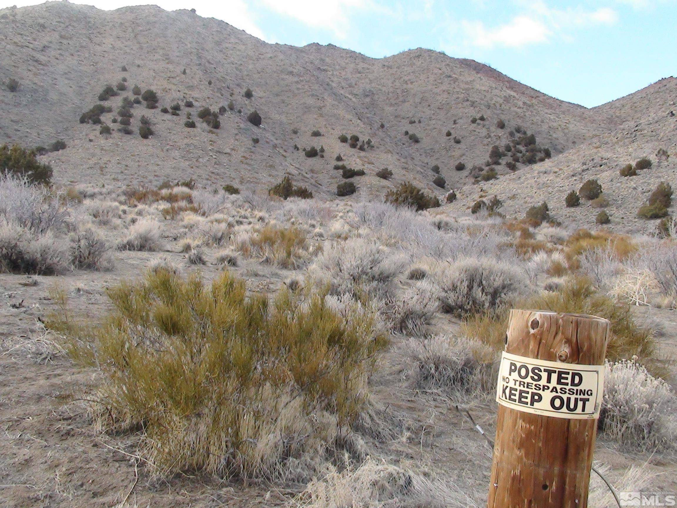 Reno, NV 89508,1265 Freds Mountain