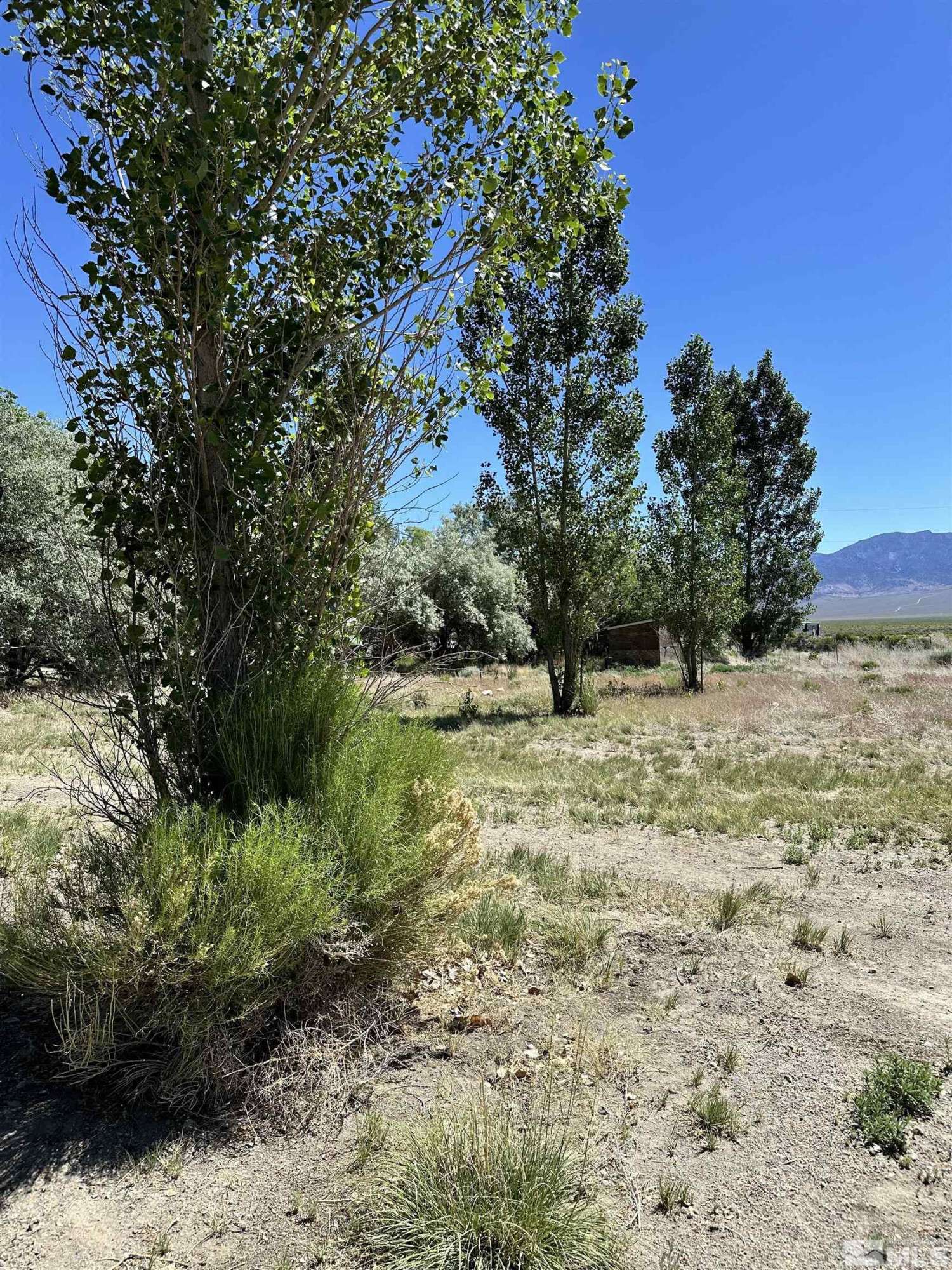 Round Mountain, NV 89045,51 Wilkerson CT Court