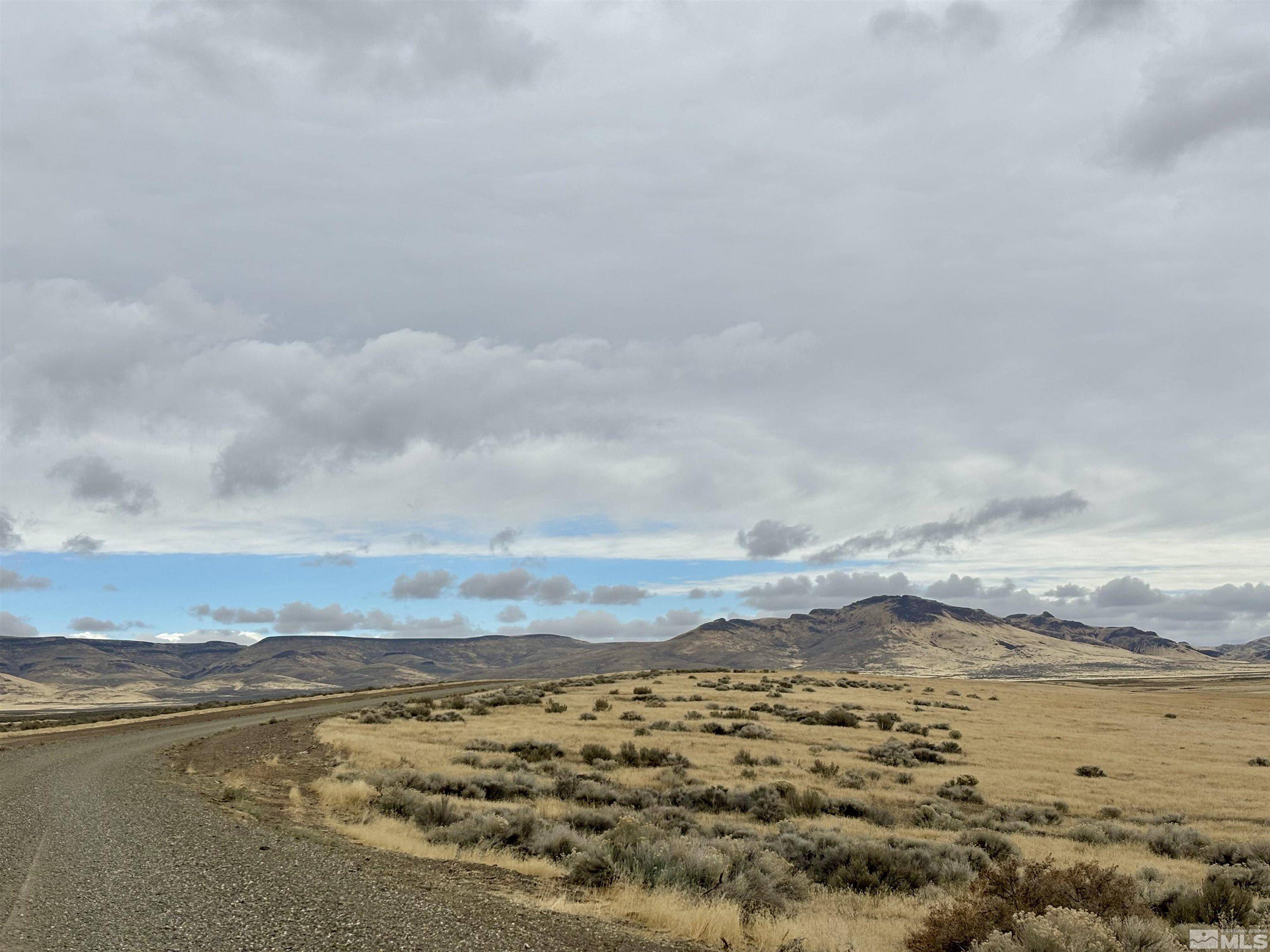 Mcdermitt, NV 89421,03074113 Noque RD Road