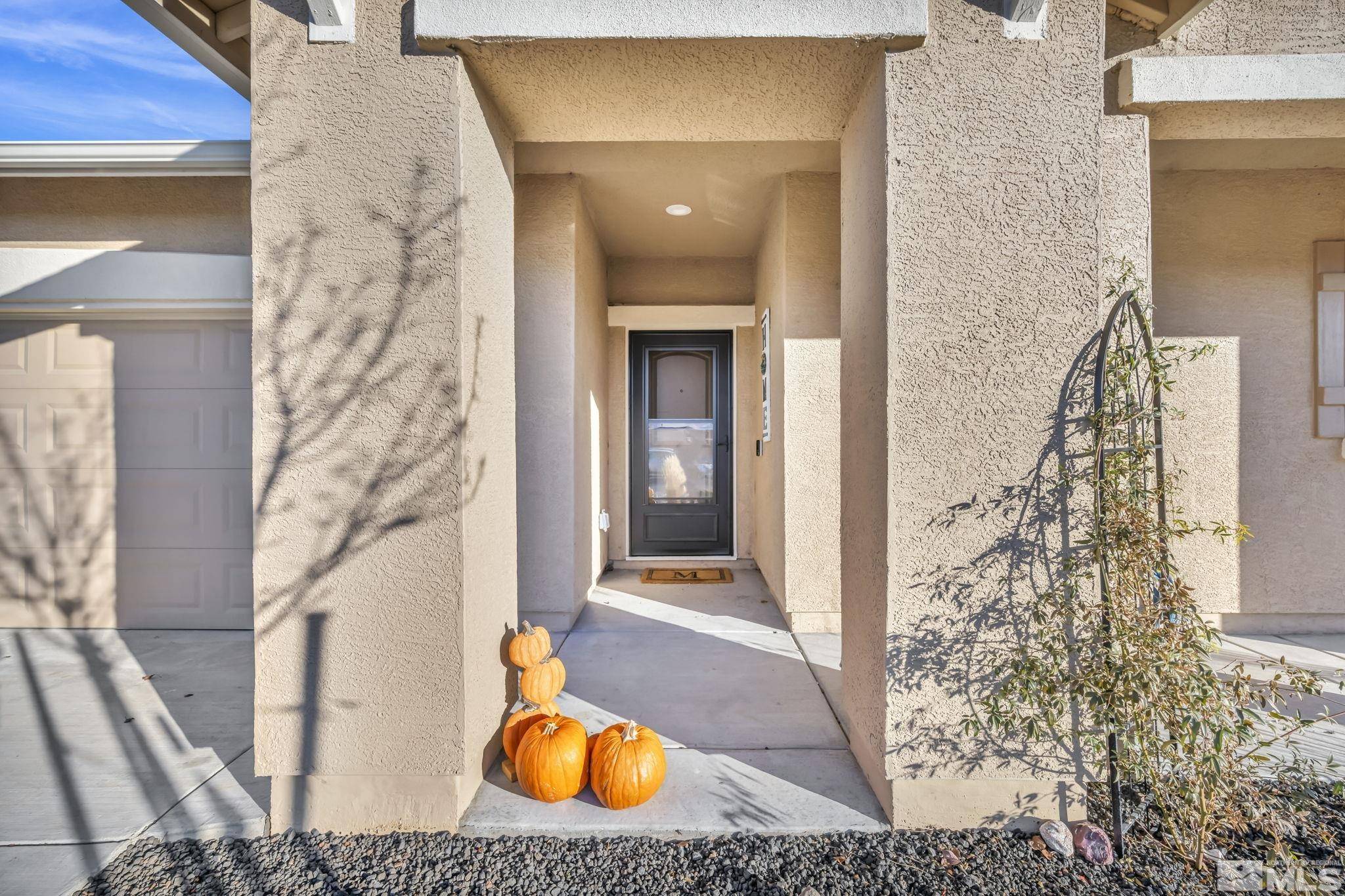 Reno, NV 89506,14516 Leiden DR Drive