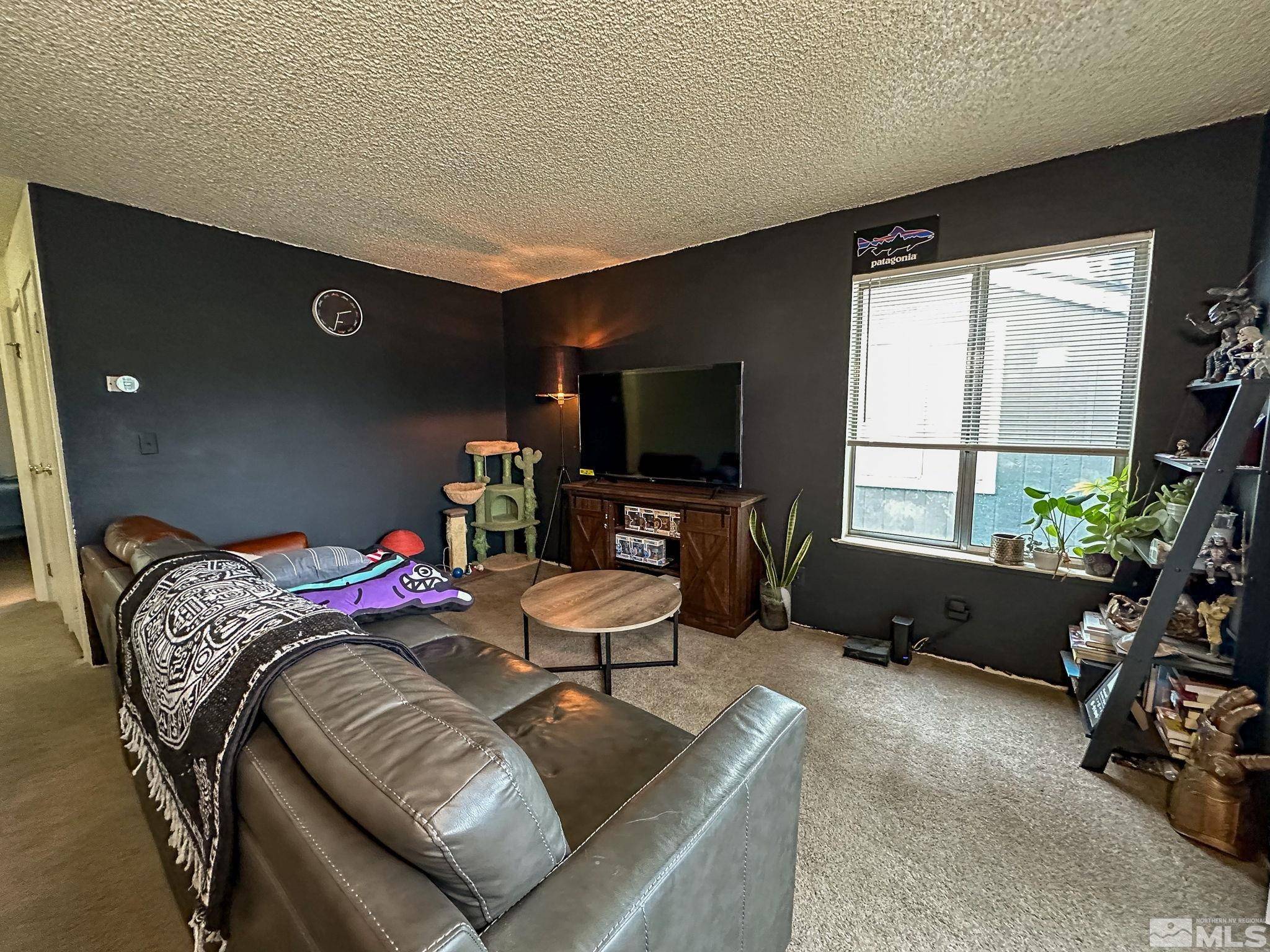 Reno, NV 89502,4608 Neil RD #246
