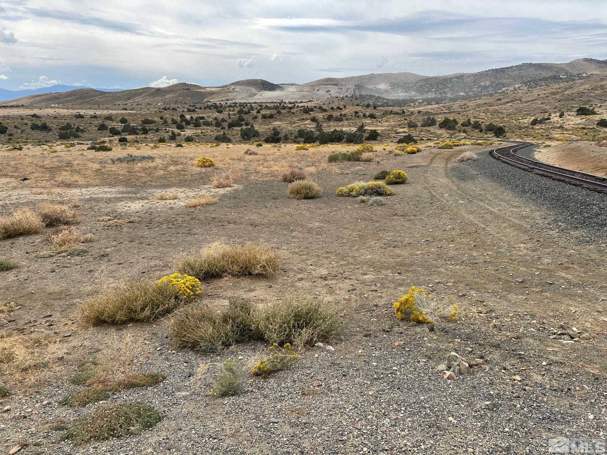Moundhouse, NV 89706,23 Cygnet DR Drive