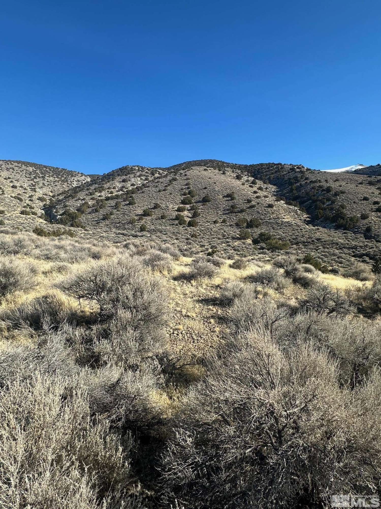Lovelock, NV 89419,25500 Ramsey RD Road