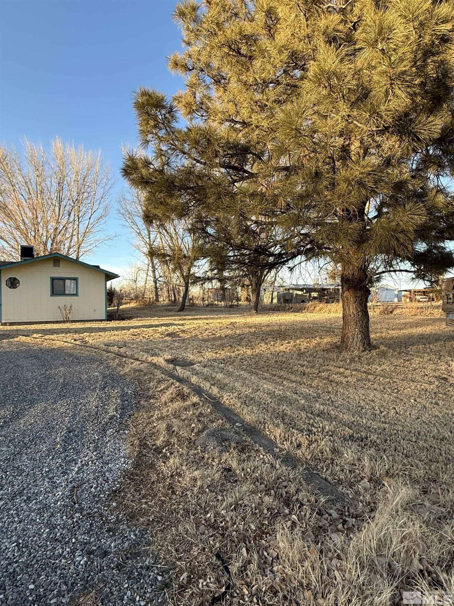 Fallon, NV 89406,255 Drumm LN Lane