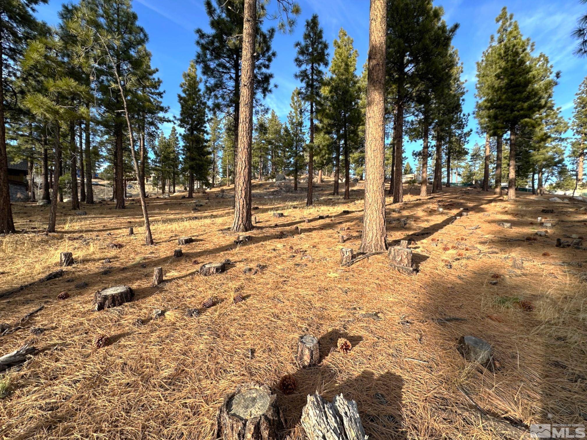 Carson City, NV 89705,220 Overlook DR Drive