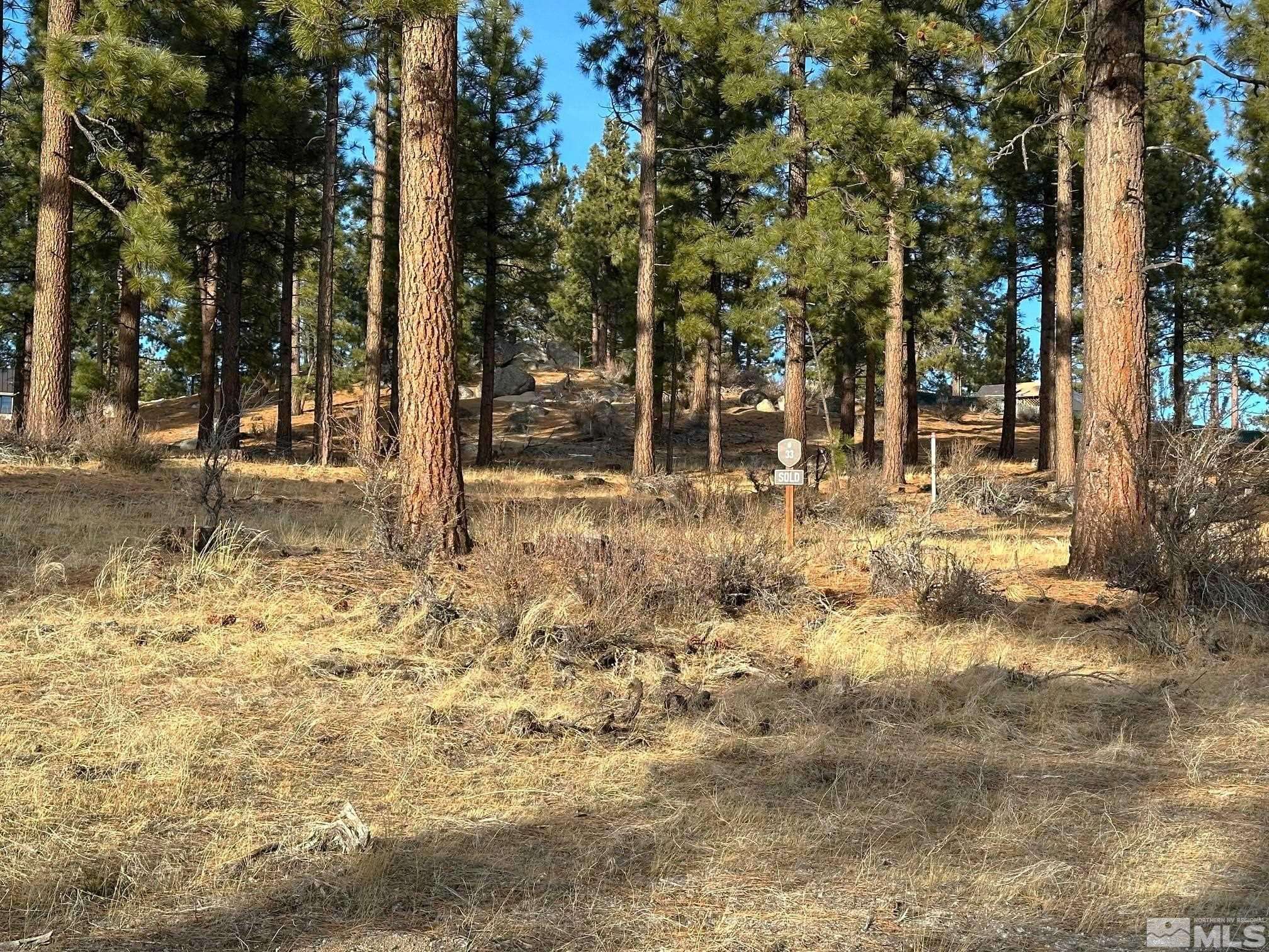 Carson City, NV 89705,220 Overlook DR Drive