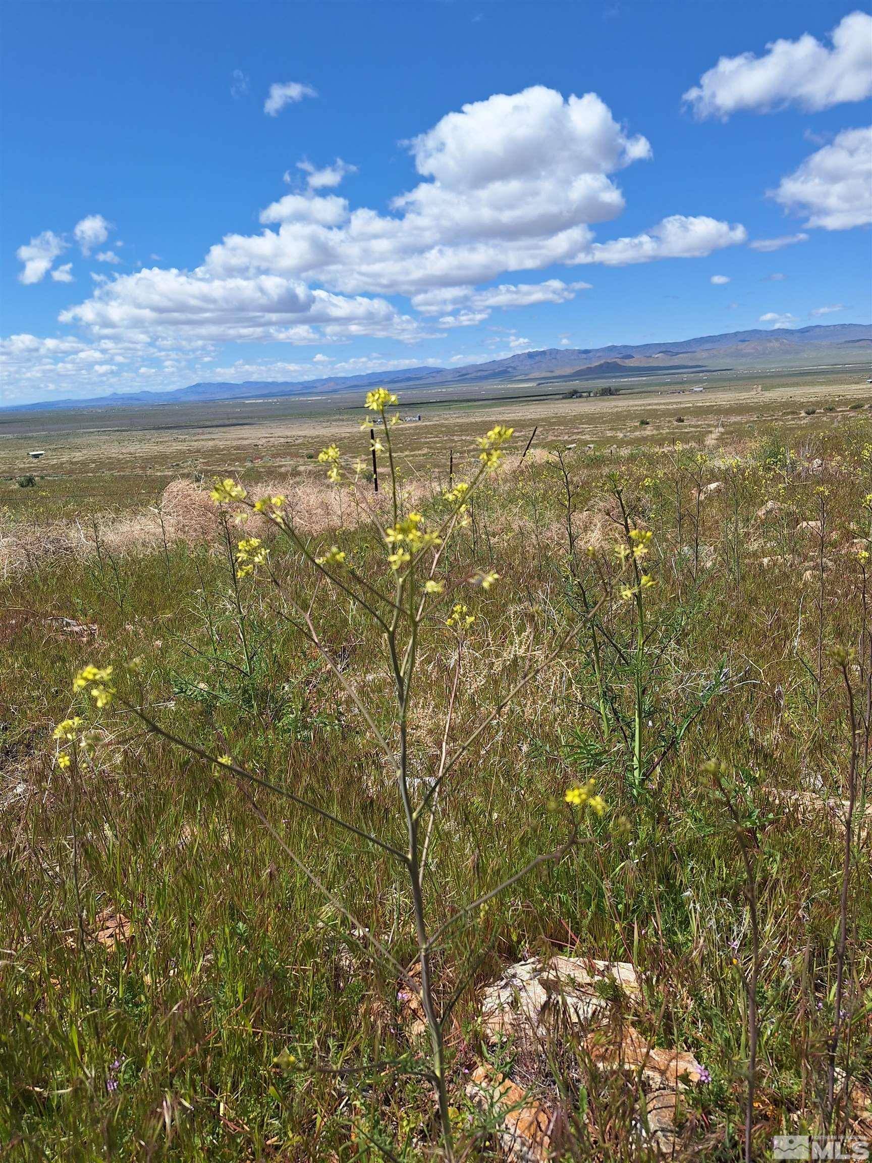 Lovelock, NV 89419,T29 Sec 15