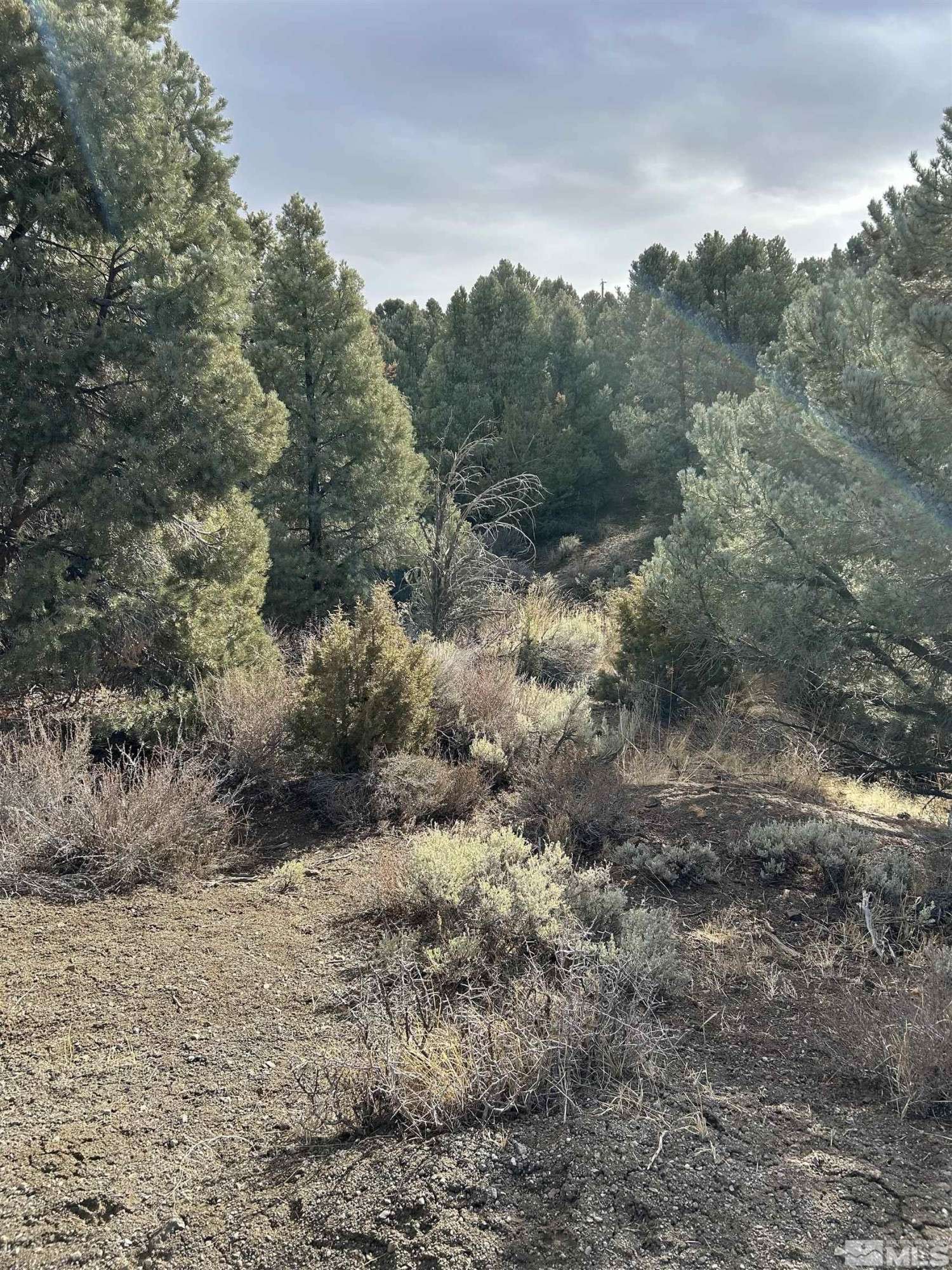 Virginia City, NV 89521,1825 Empire RD Road