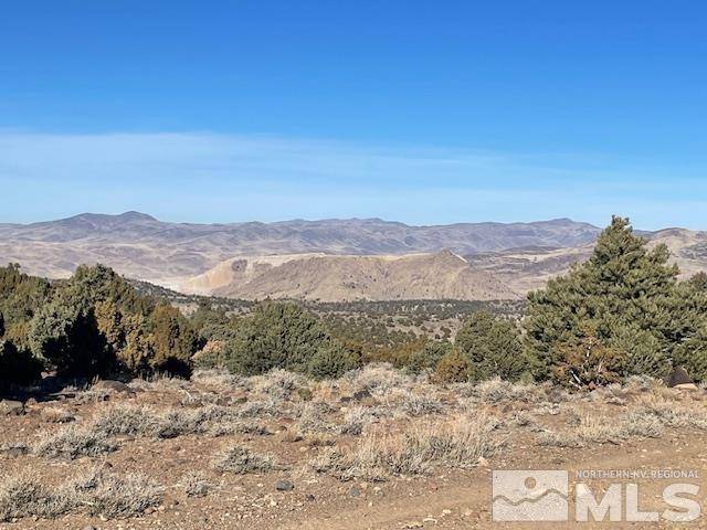 Virginia City, NV 89521,40S SE4NW4-S16/18N/21E