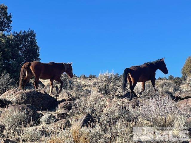 Virginia City, NV 89521,40S SW4NW4-S16/18N/21E