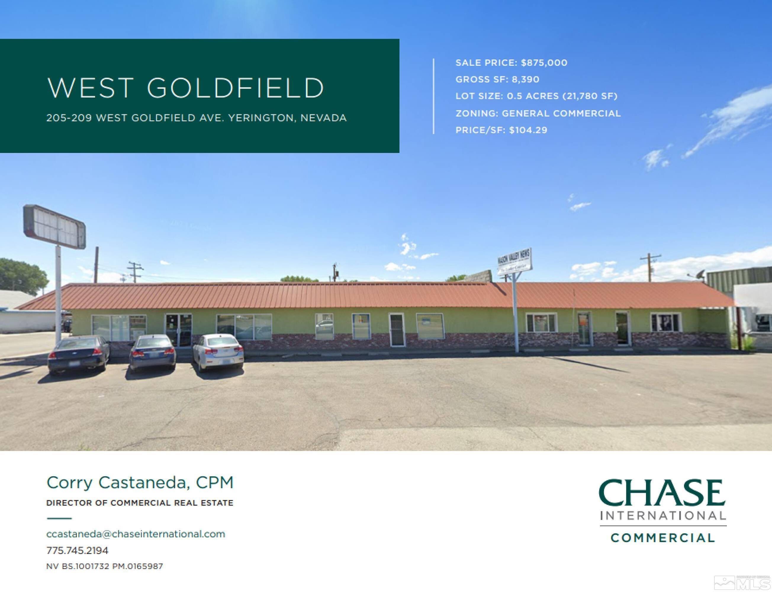Yerington, NV 89447,205-209 W Goldfield AVE Avenue