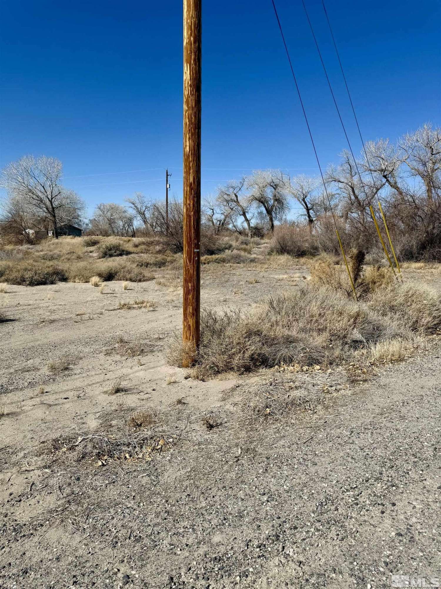 Fallon, NV 89406,2020 Blues CT Court