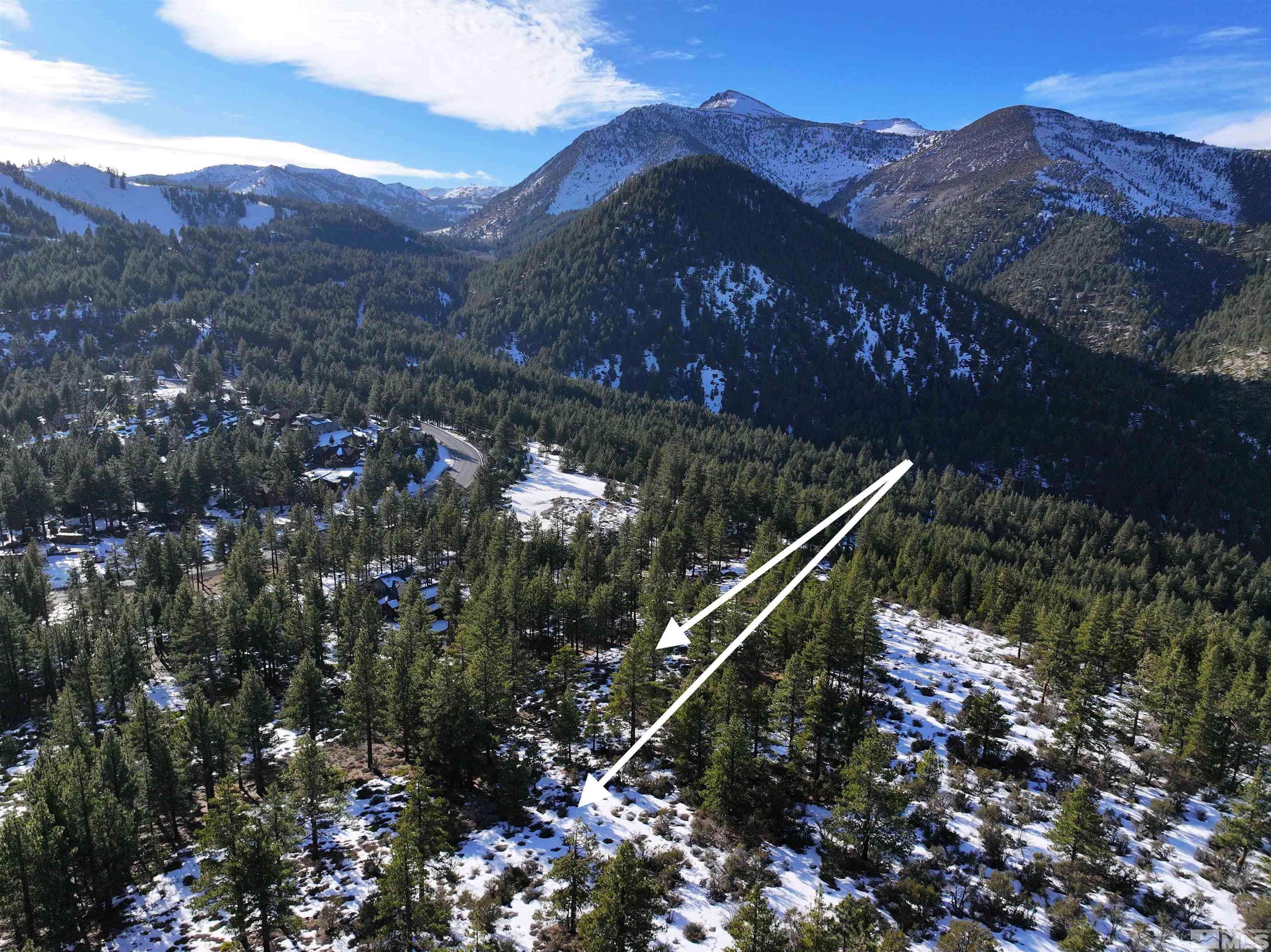 Reno, NV 89511,123 Mountain Haven LN Lane