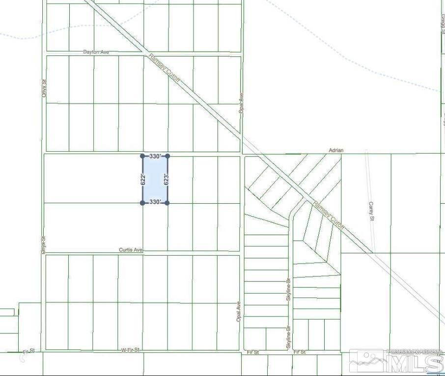 Silver Springs, NV 89429,3215 Quince