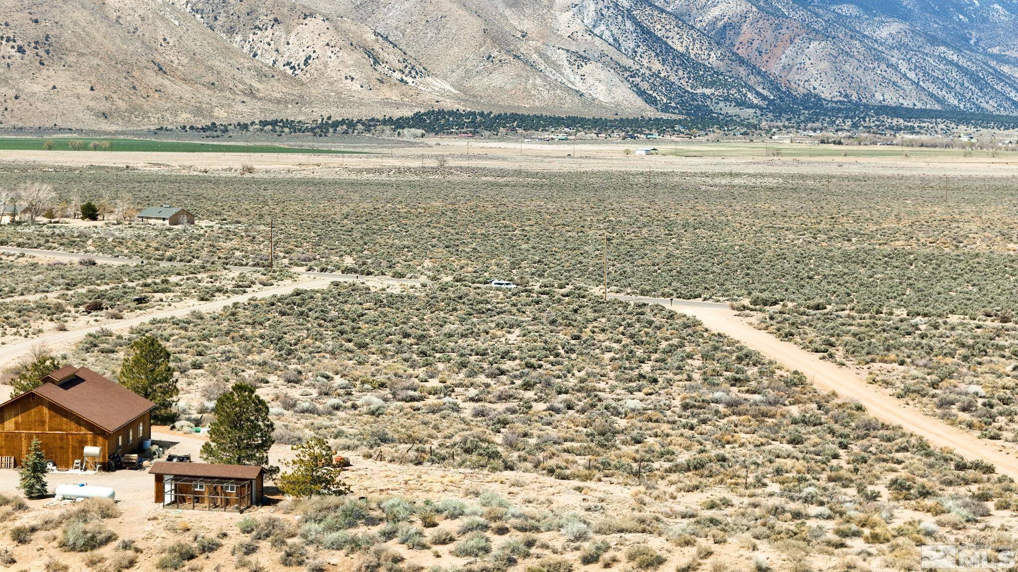 Wellington, NV 89444,247 Artist View RD Road