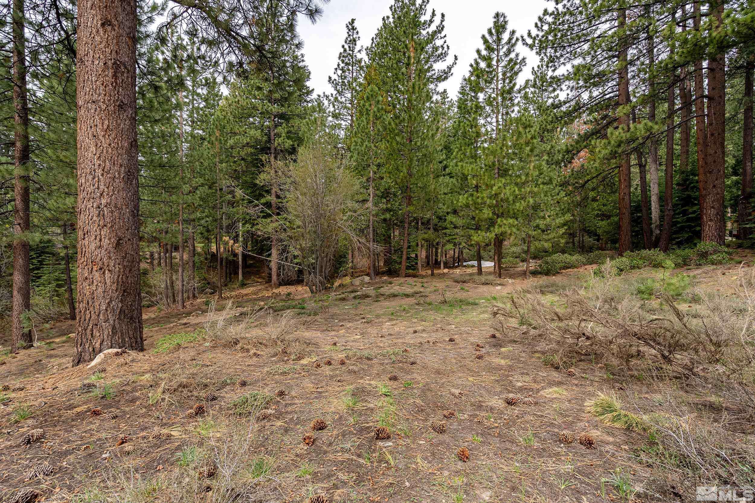 Incline Village, NV 89451,585 Village BLVD Boulevard