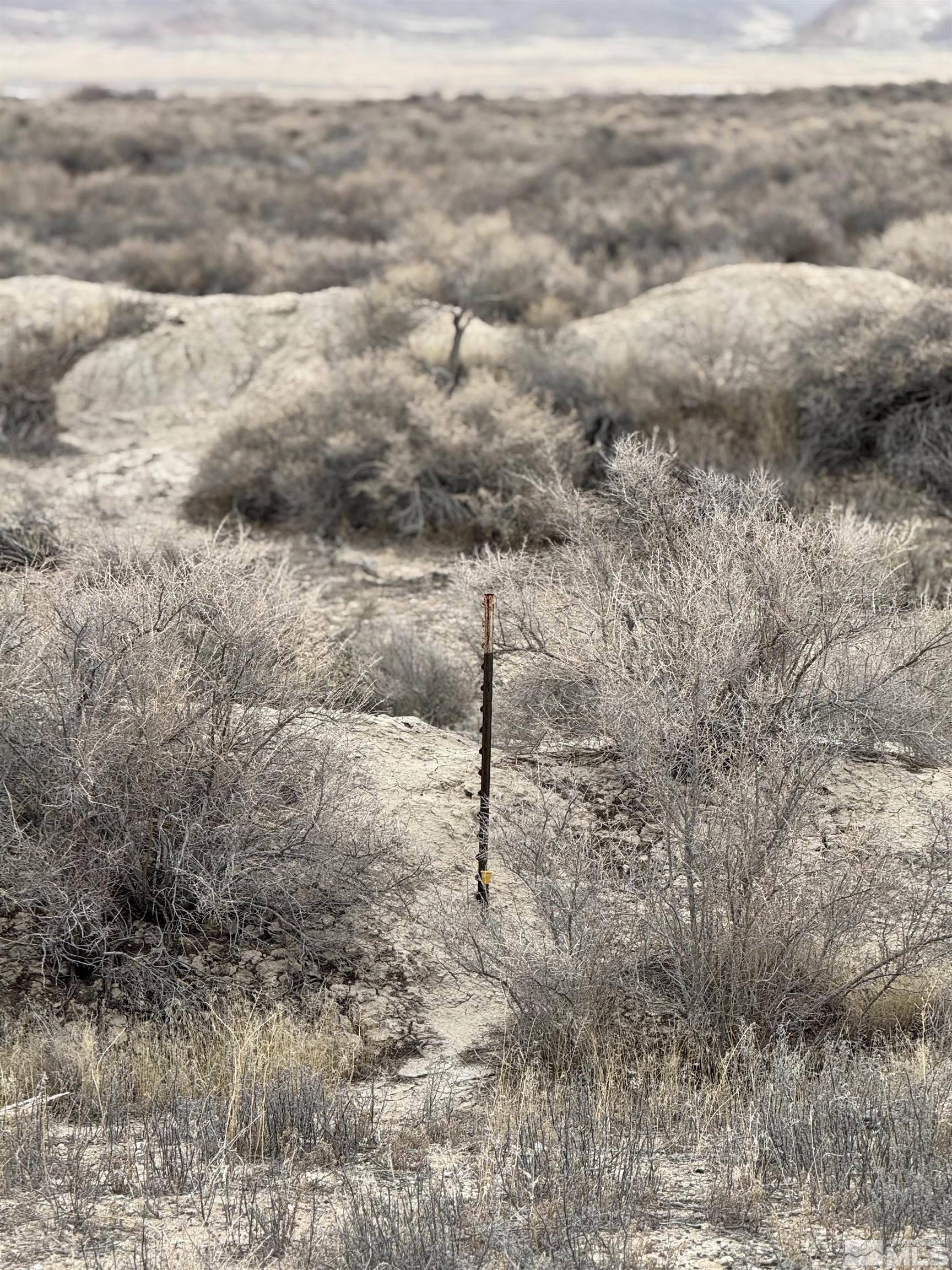 Lovelock, NV 89419,2500 Old Emigrant RD
