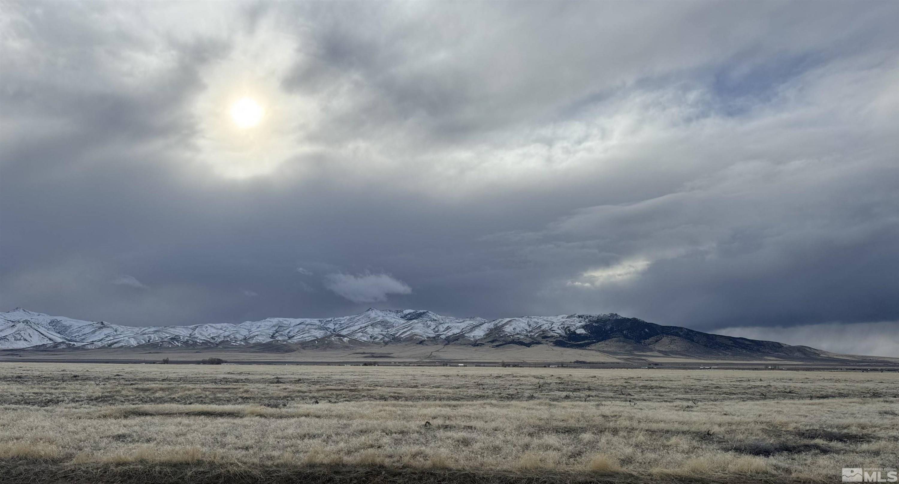 Winnemucca, NV 89445,0 Ruiz RD Road