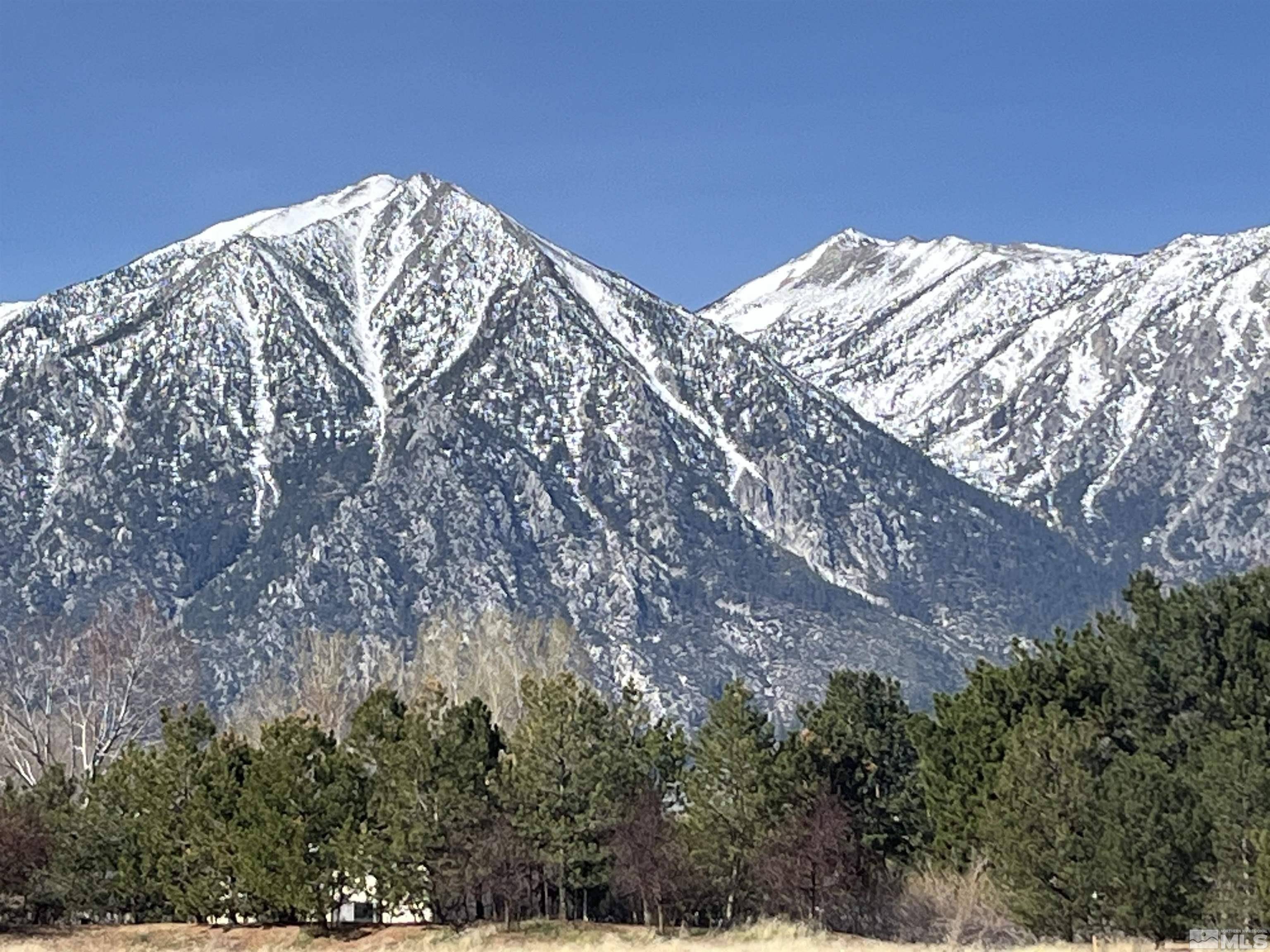 Gardnerville, NV 89460,950 Heavenly View CT Court