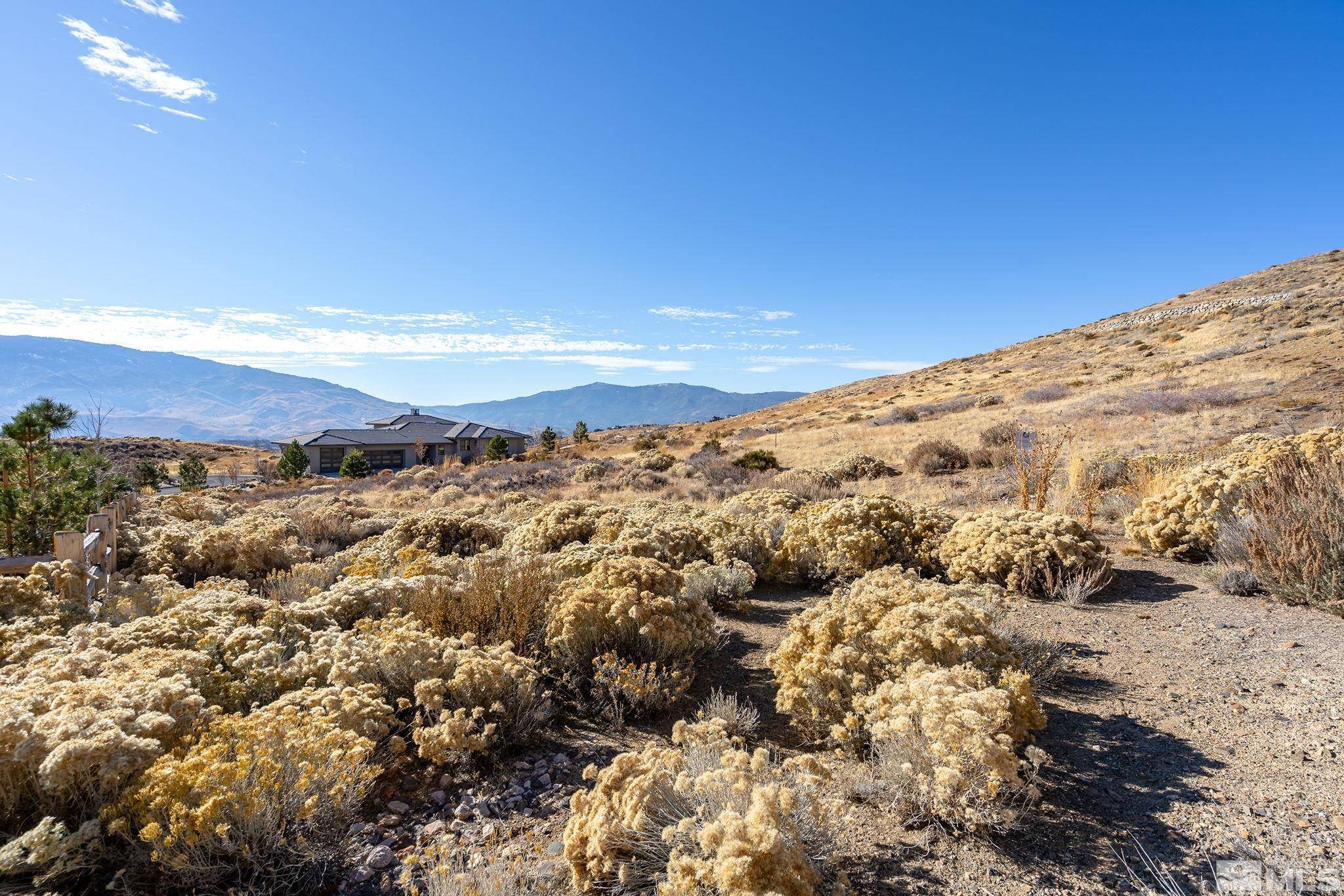 Reno, NV 89523,2555 Painted River TRL Trail
