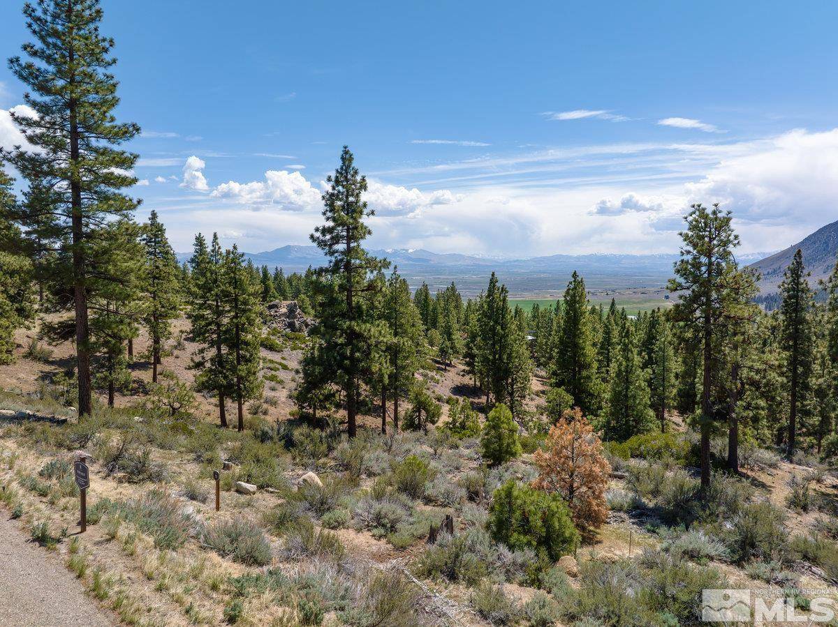 Carson City, NV 89705,3423 Golf Club DR Drive