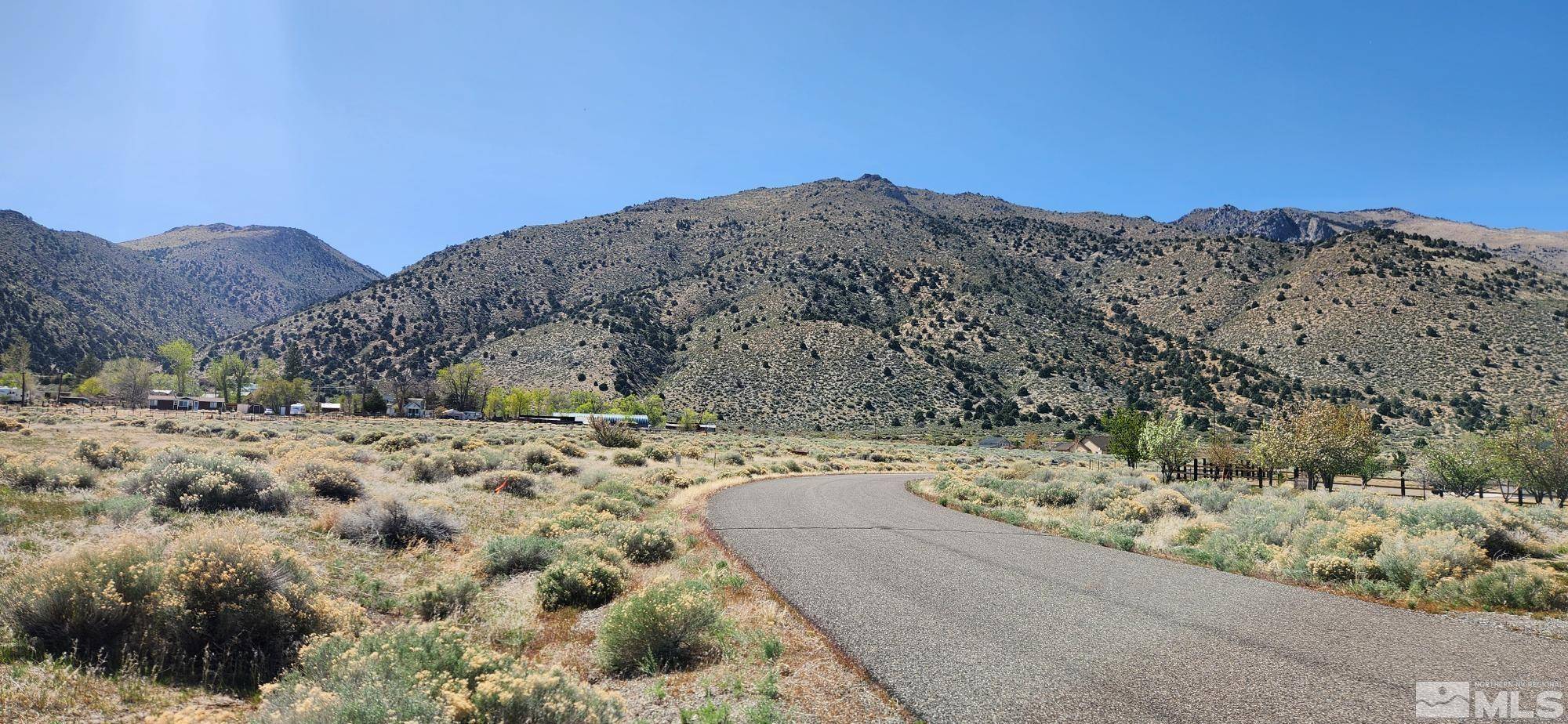 Wellington, NV 89444,231 Angelina CIR Circle