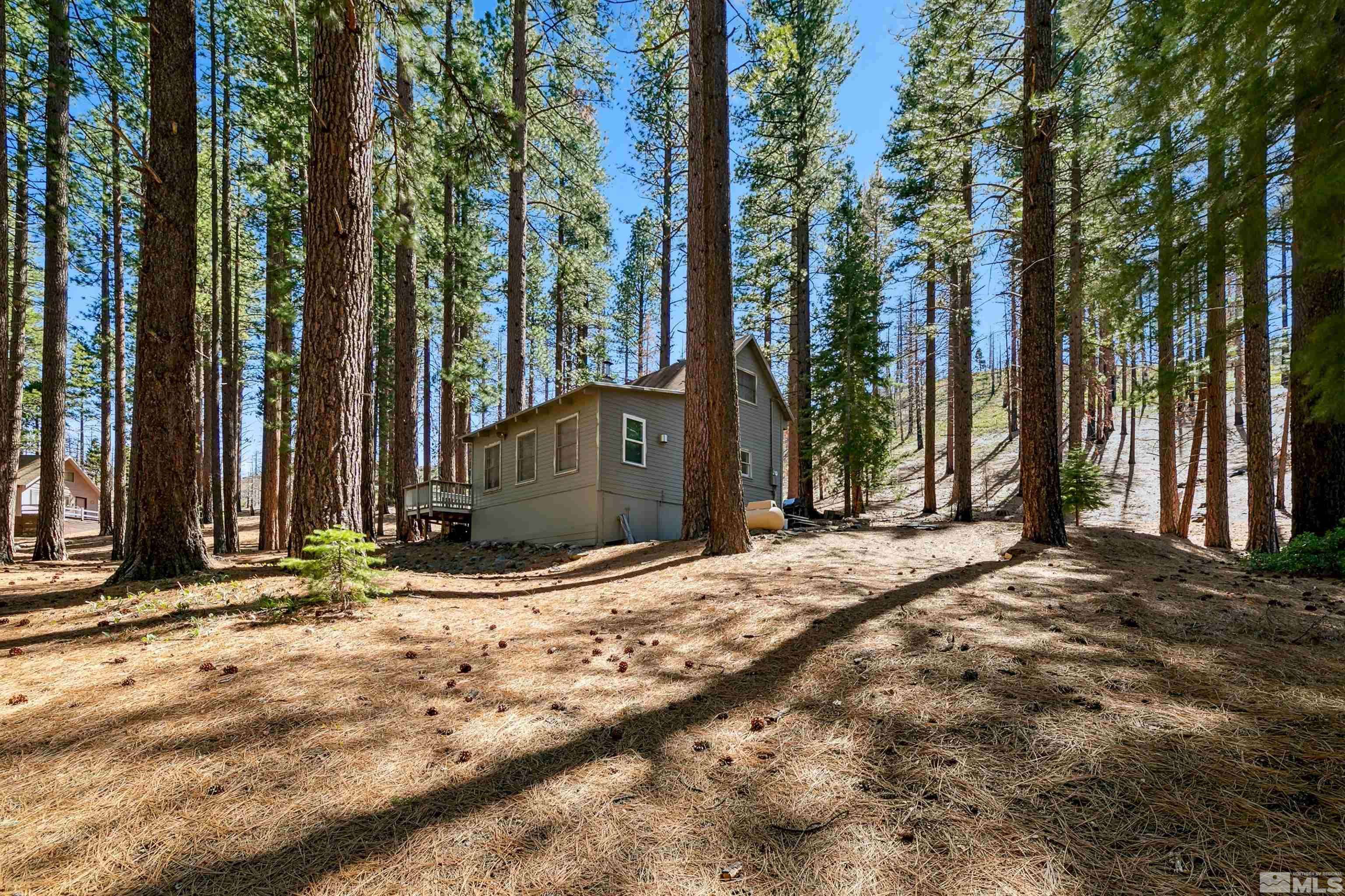 Markleeville, CA 96120,40 Shay Creek RD Road