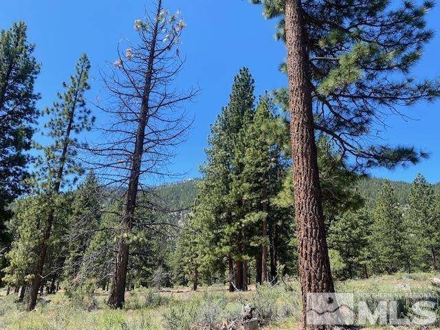 Carson City, NV 89705,3584 Knob Point TRL Trail