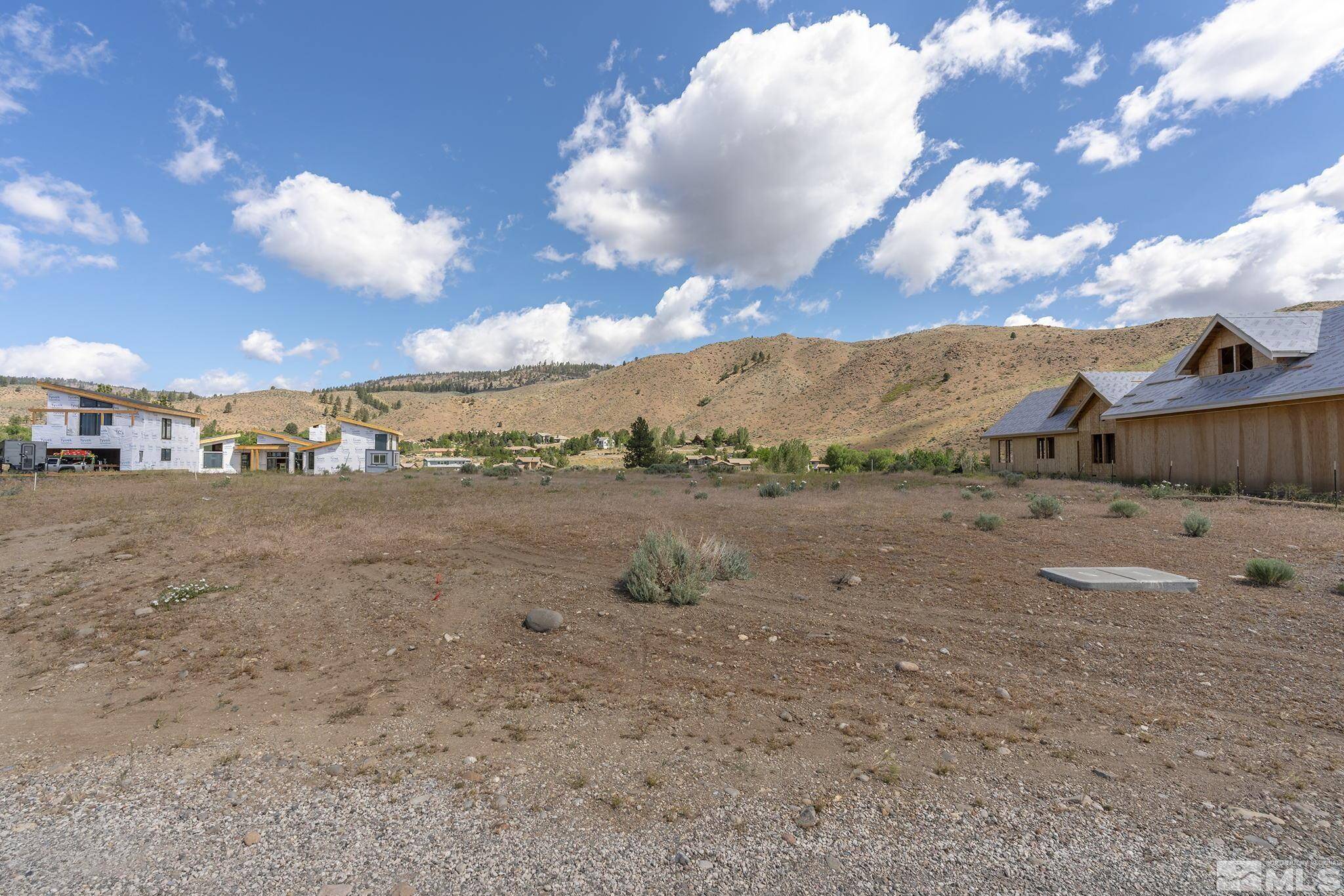 Verdi, NV 89439,421 River Pines DR Drive