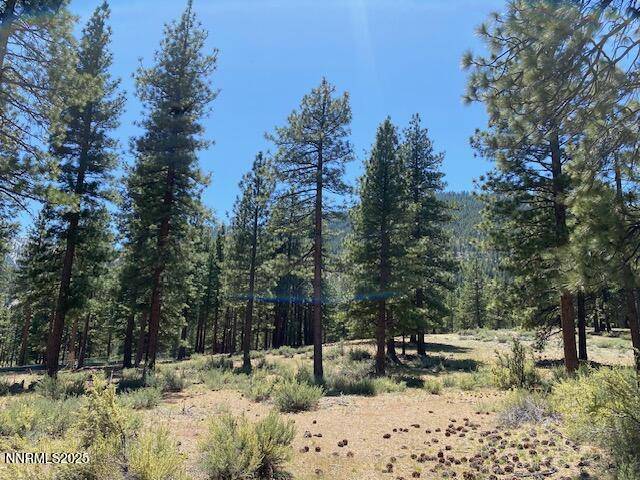 Carson City, NV 89705,3355 Golf Club DR Drive #97
