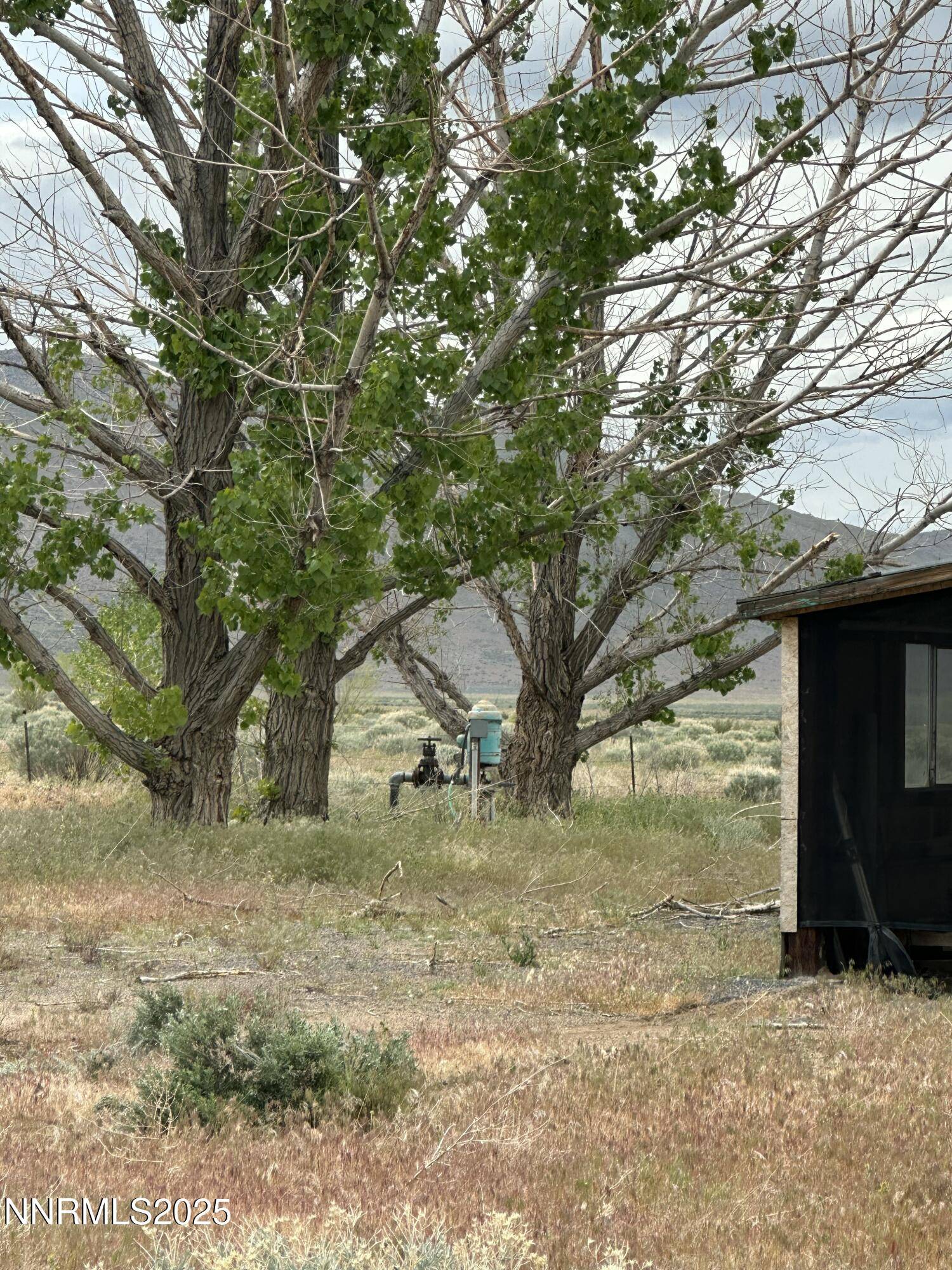 Reno, NV 89510,500 Indian LN Lane