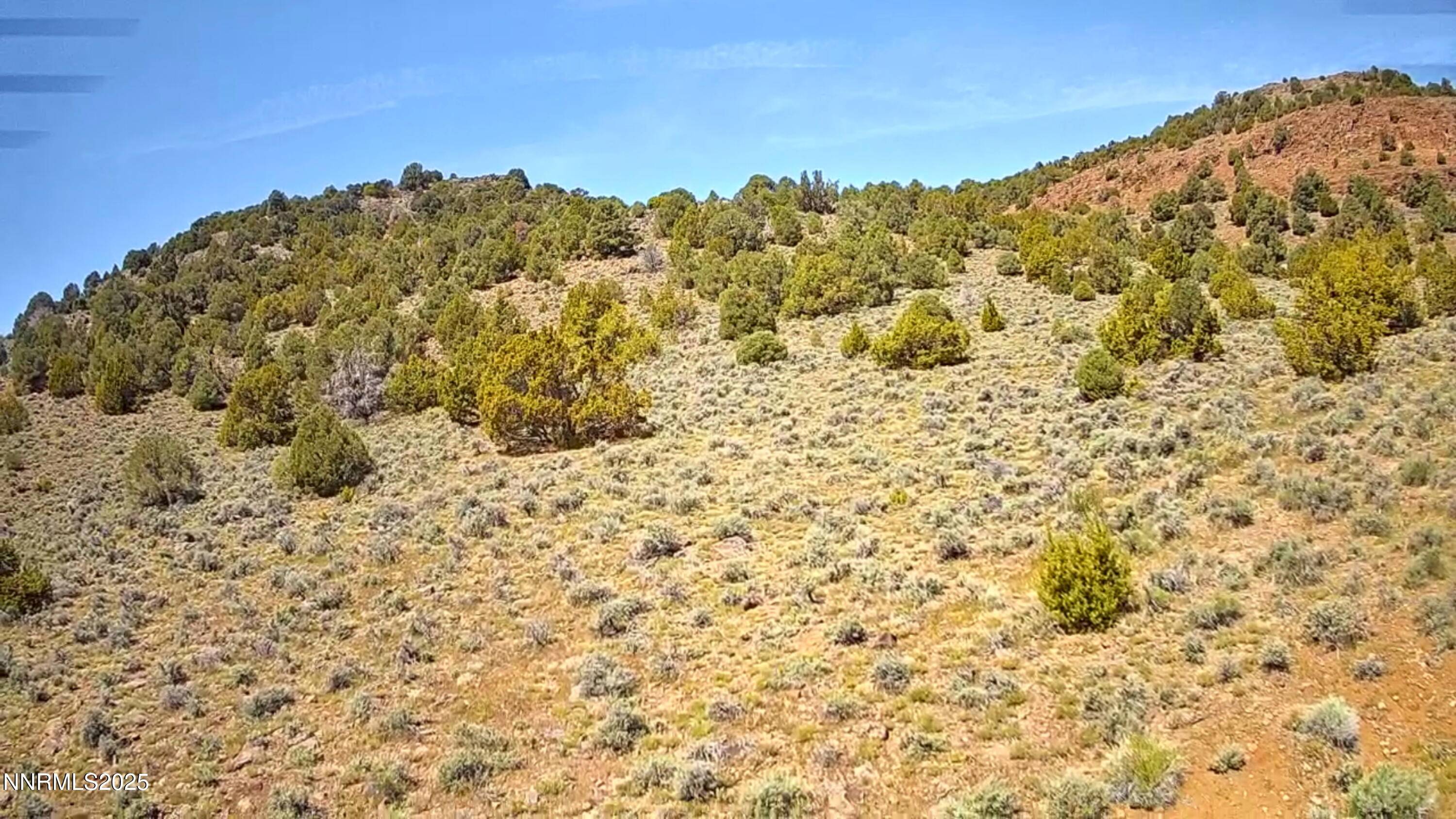 Reno, NV 89521,2320 Lousetown RD Road