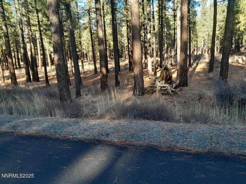 Portola, CA 96122,202 Village #36