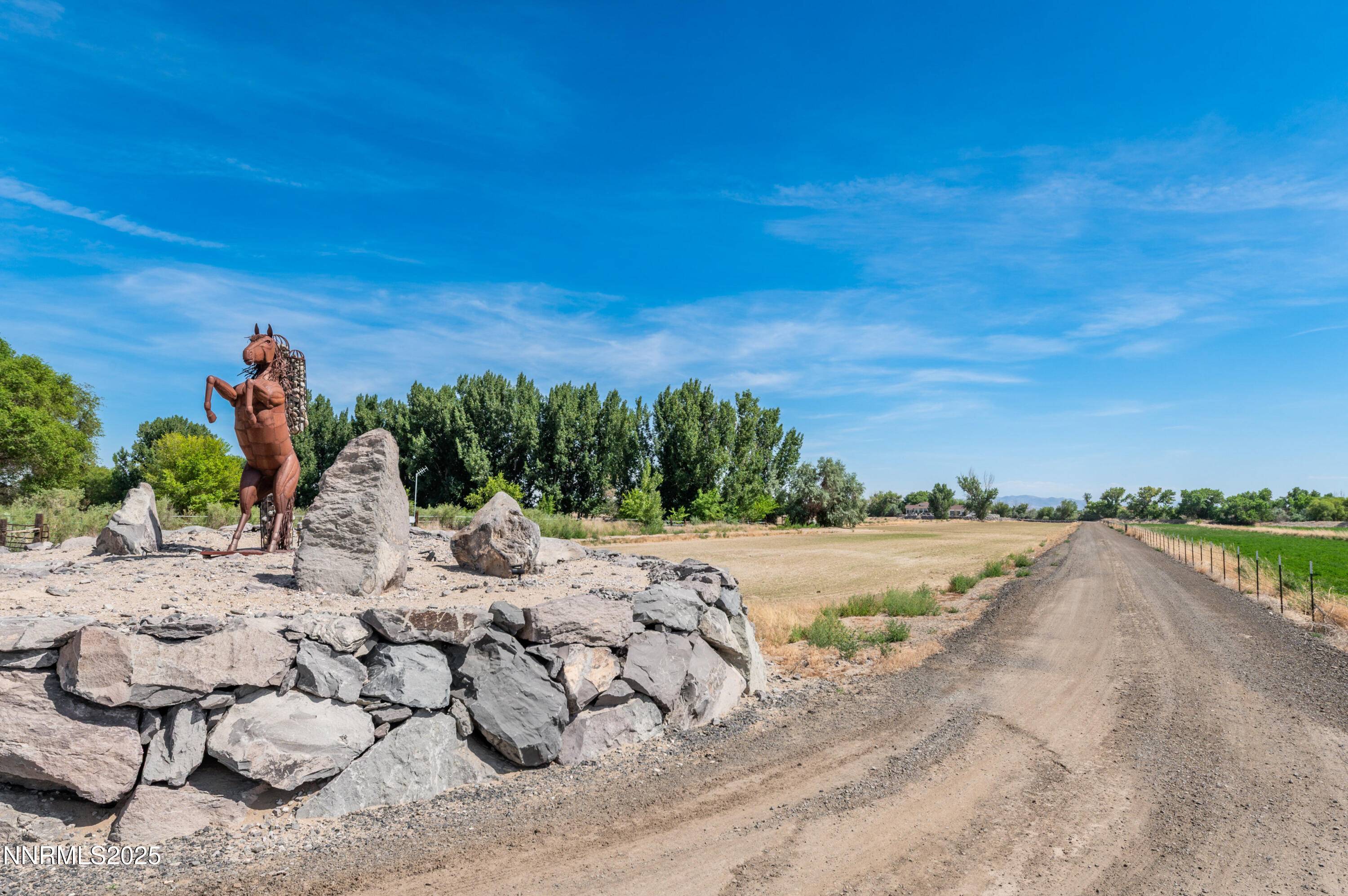 Fallon, NV 89406,4433 Casey RD Road