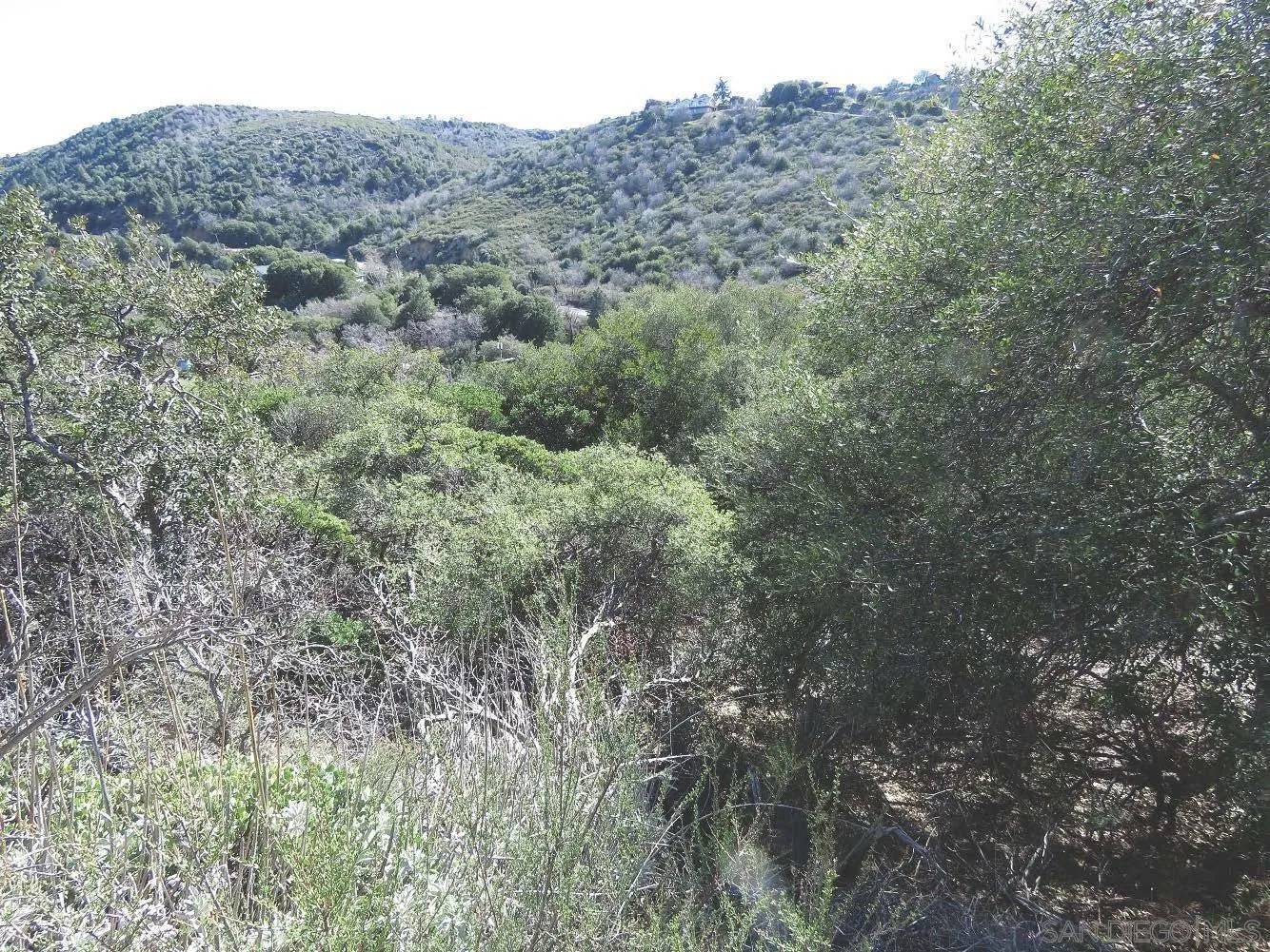 Julian, CA 92036,000 NW Highland Dr. #51/5,6