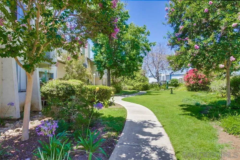 La Mesa, CA 91942,7504 Parkway Dr #208