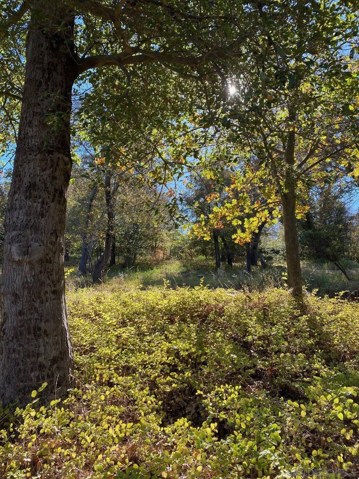 Julian, CA 92036,0000 Azalea Avenue #19