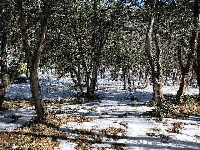 Julian, CA 92036,0 Highland Drive #266